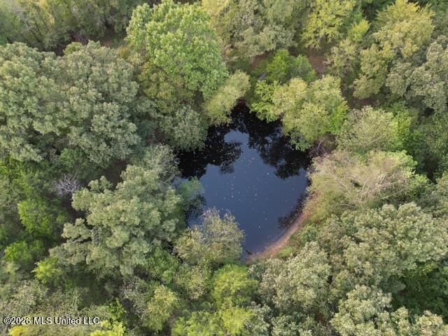 Wildcat Bottom Road Property Photo 15