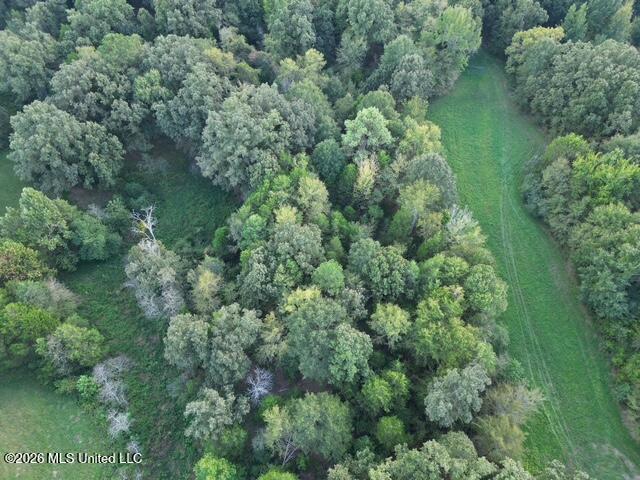 Wildcat Bottom Road Property Photo 16