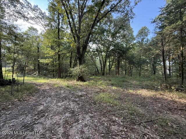 Wildcat Bottom Road Property Photo 17