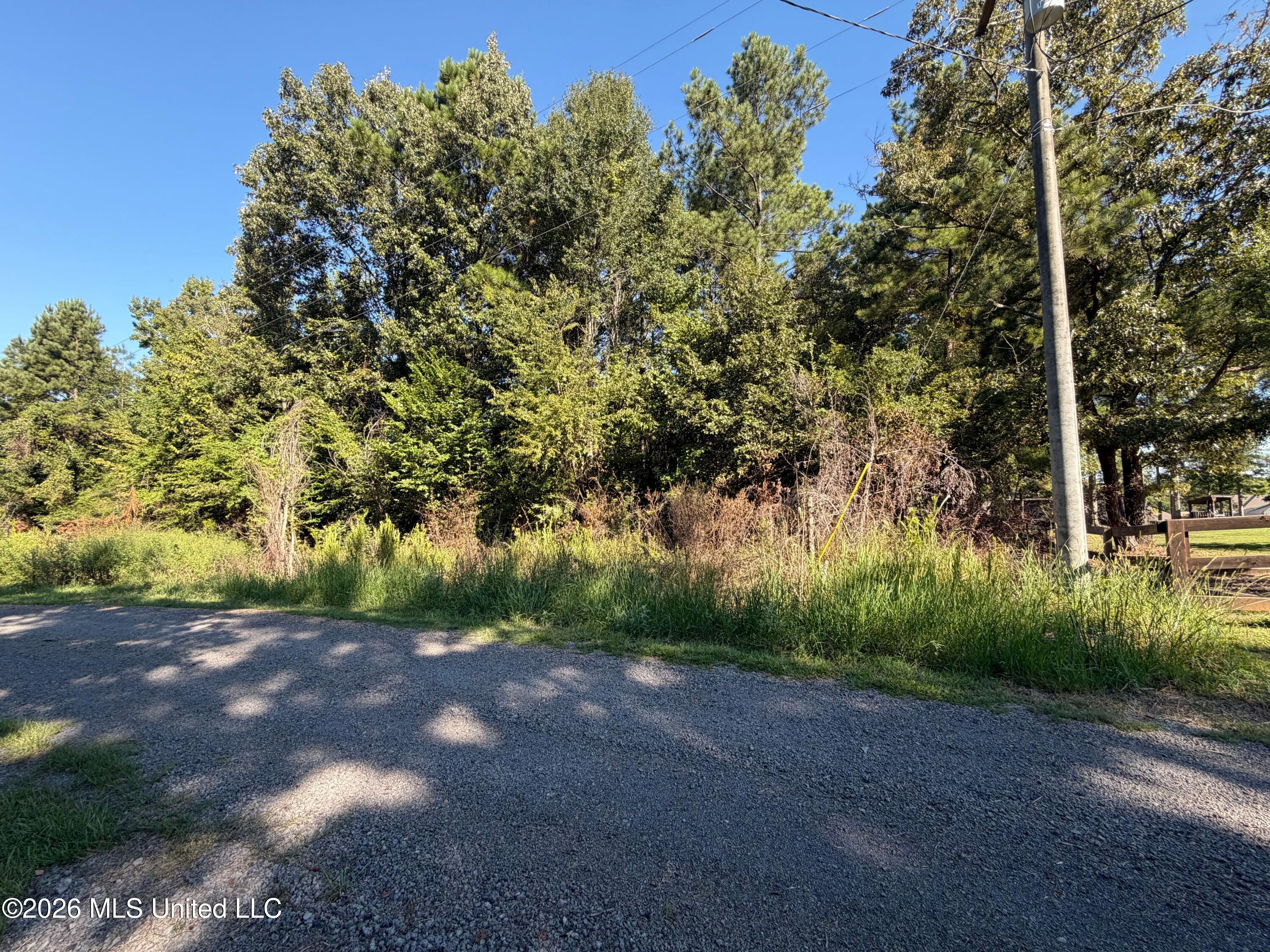 132 Alex Seals Lane Property Photo 2