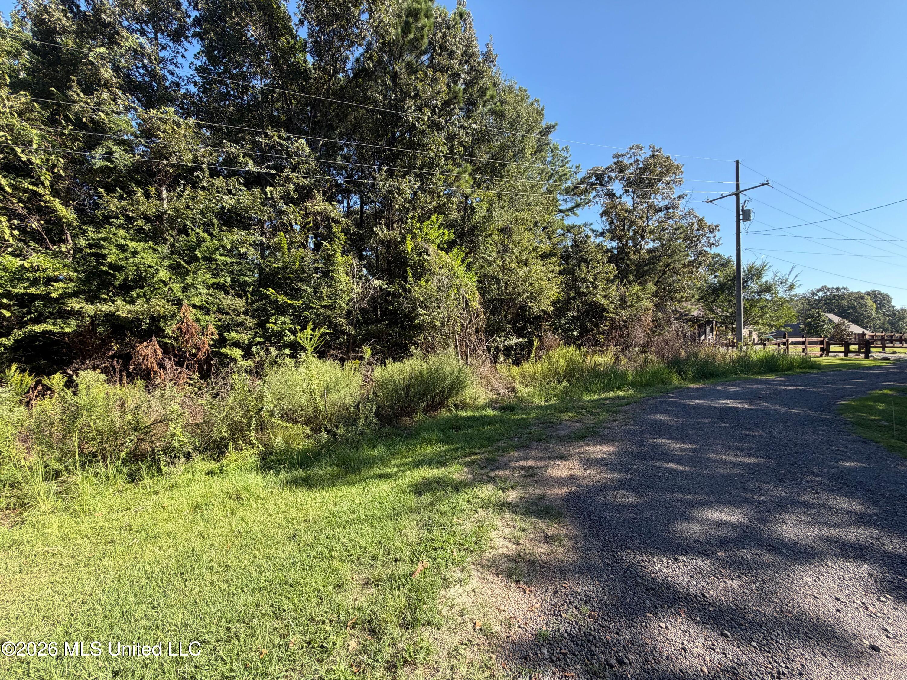 132 Alex Seals Lane Property Photo 7