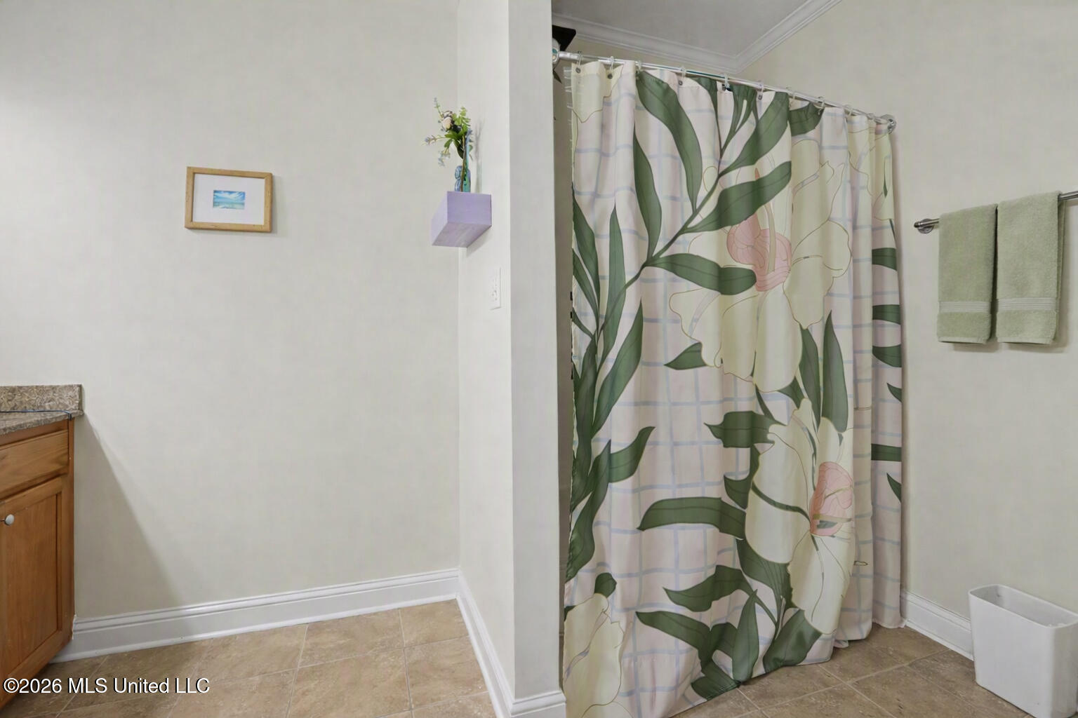 502 John Baptiste Street Property Photo 39