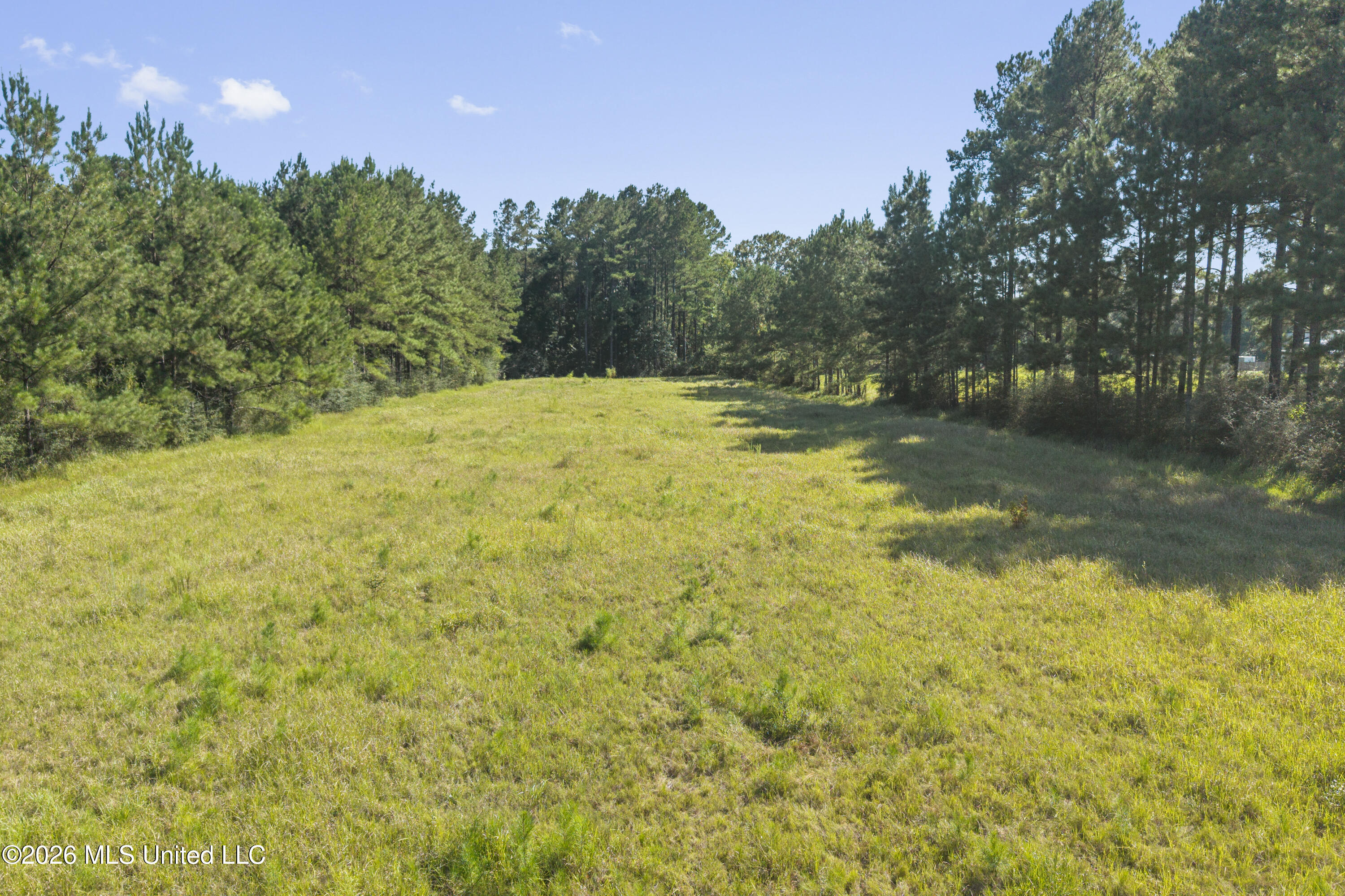 141 Wayne Lee Road Property Photo 31