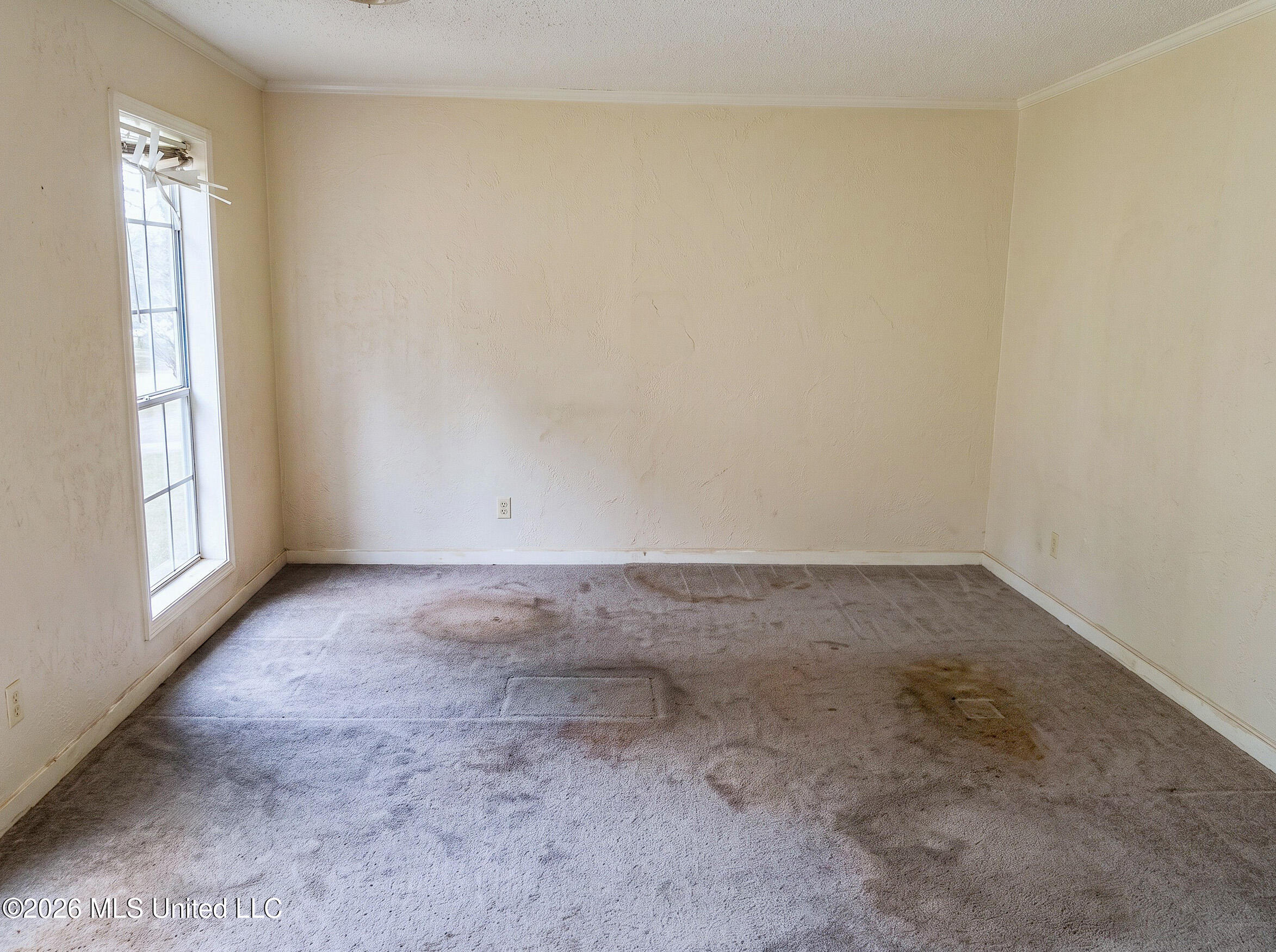 511 Kings Row Property Photo 8