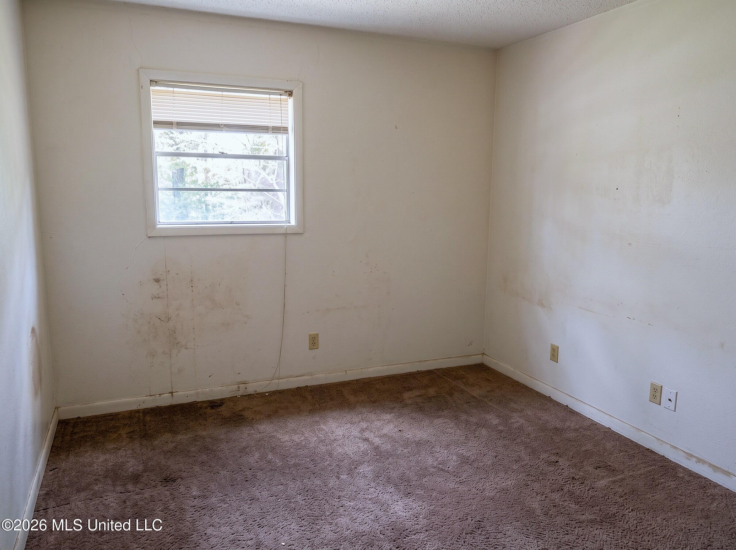 511 Kings Row Property Photo 9