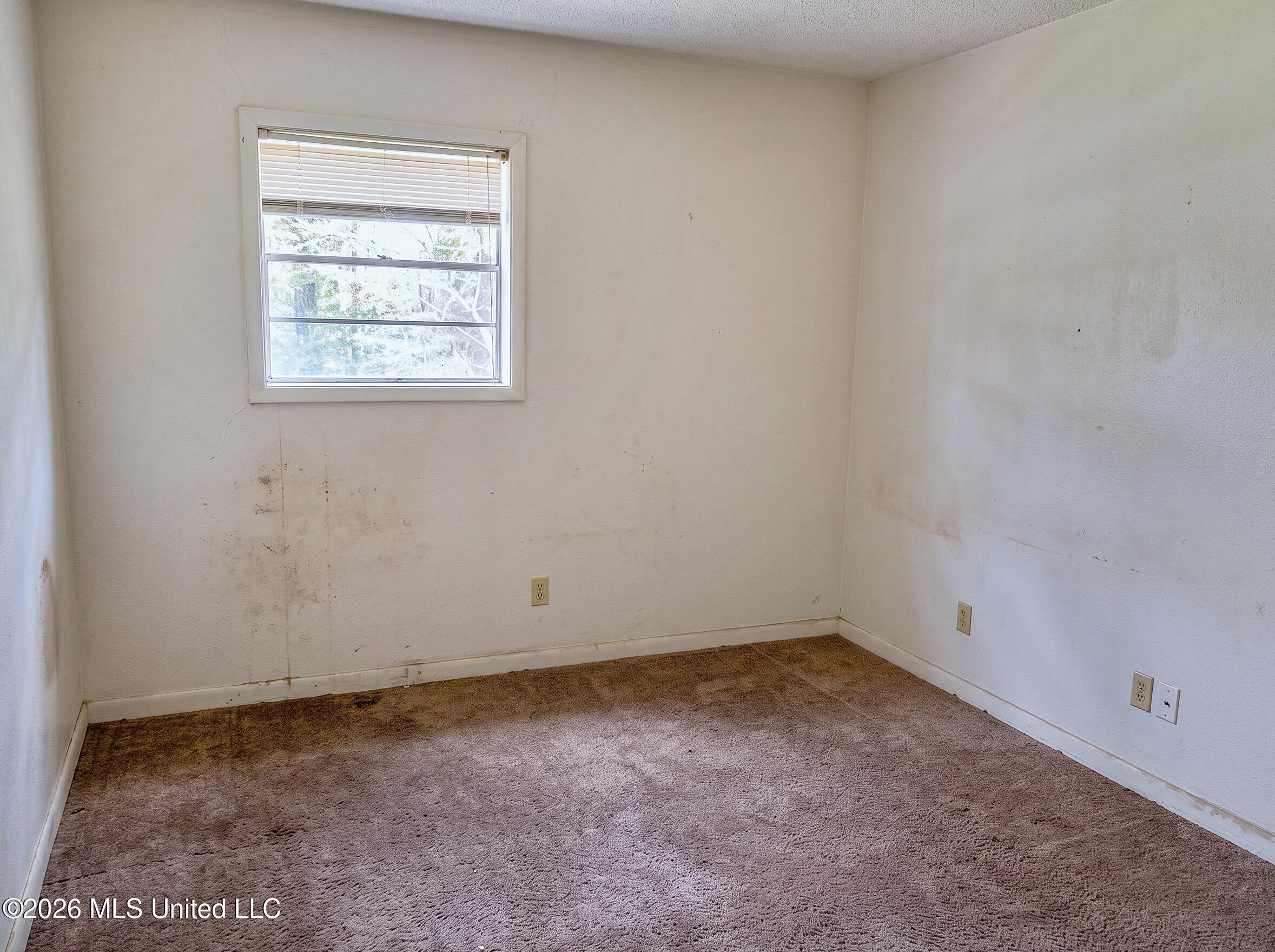 511 Kings Row Property Photo 9