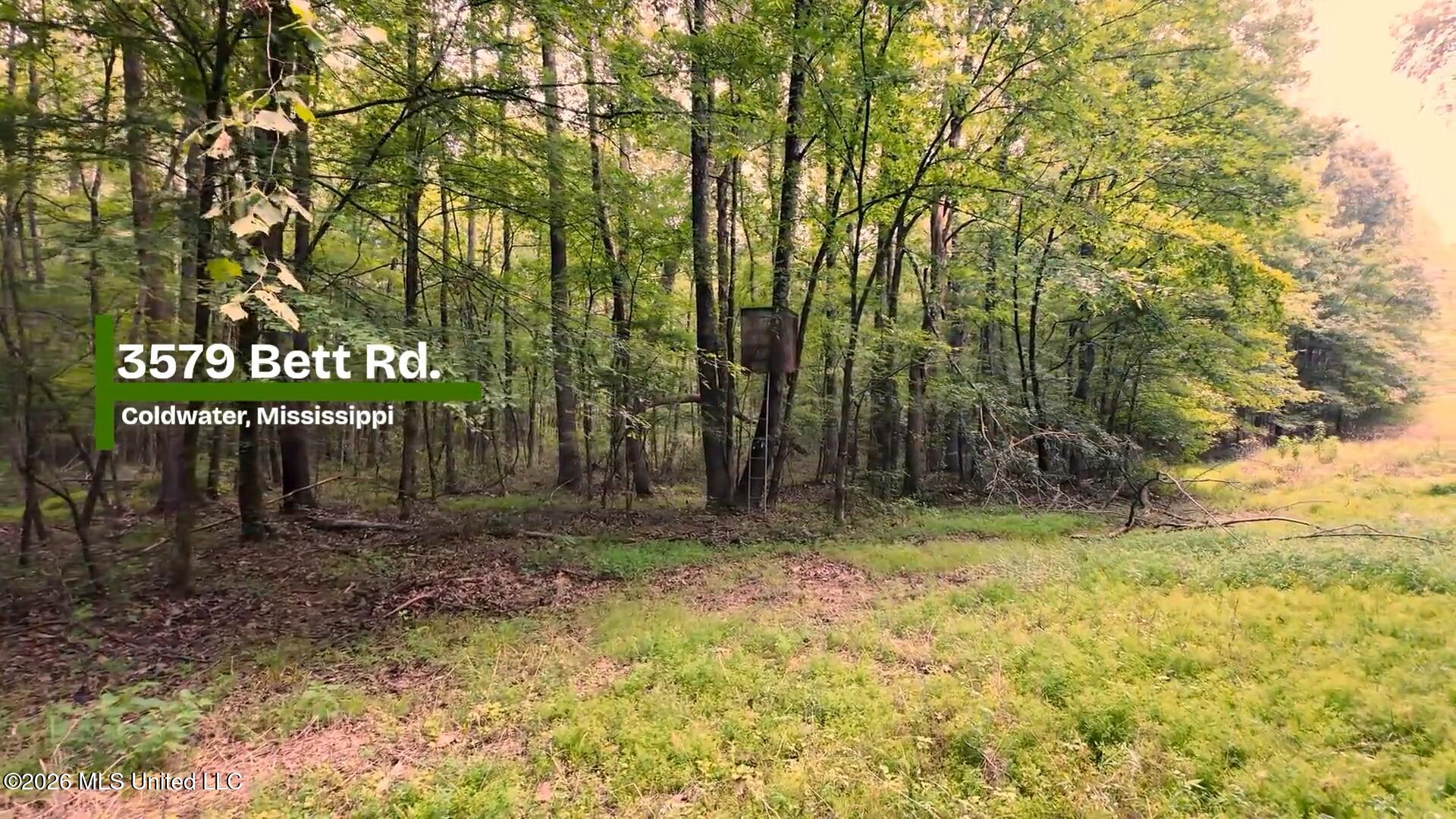 3579 Bett Road Property Photo 13