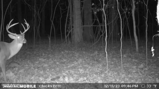 3579 Bett Road Property Photo 15