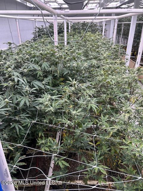 305 C Williamson Road Property Photo 5