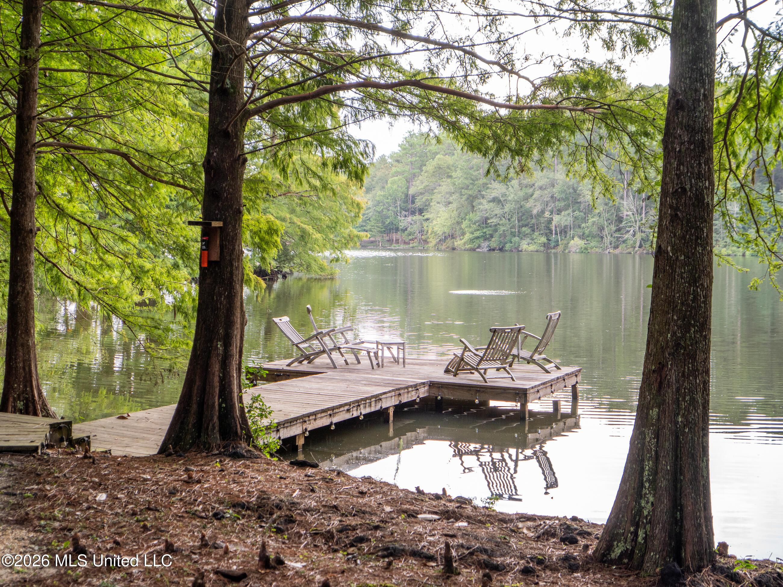 290 Hickory Hills Loop Property Photo 9
