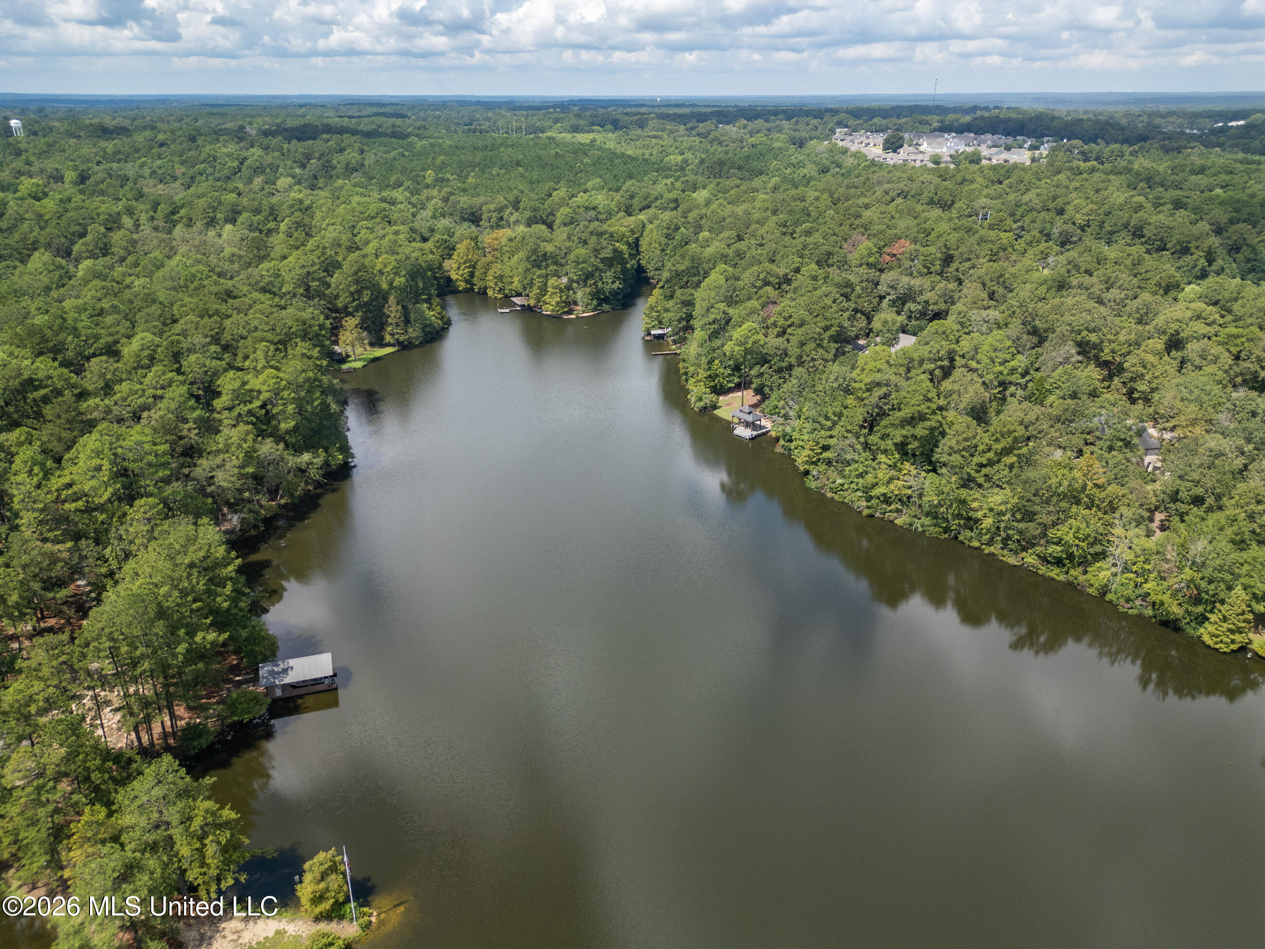 290 Hickory Hills Loop Property Photo 52