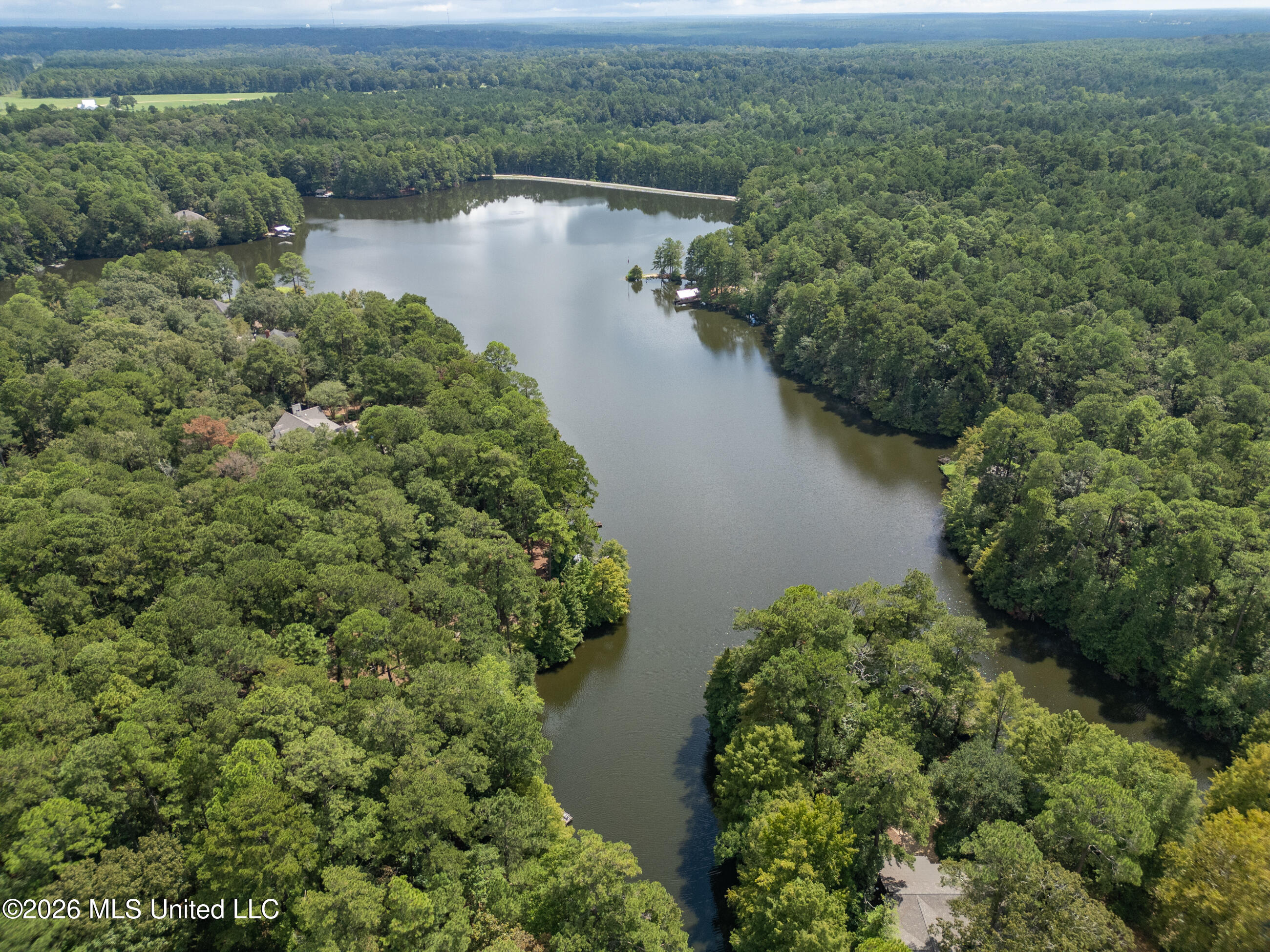 290 Hickory Hills Loop Property Photo 53