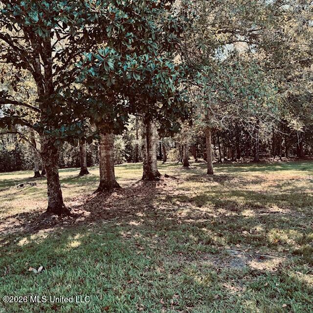 1101 Summerlin Bayou Road Property Photo 24