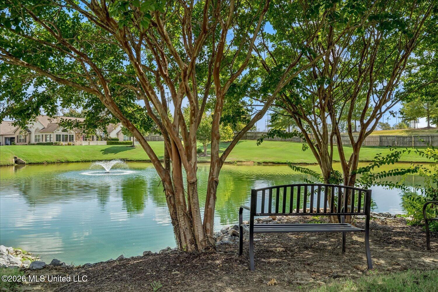 8665 Parkview Oaks Circle Property Photo 26