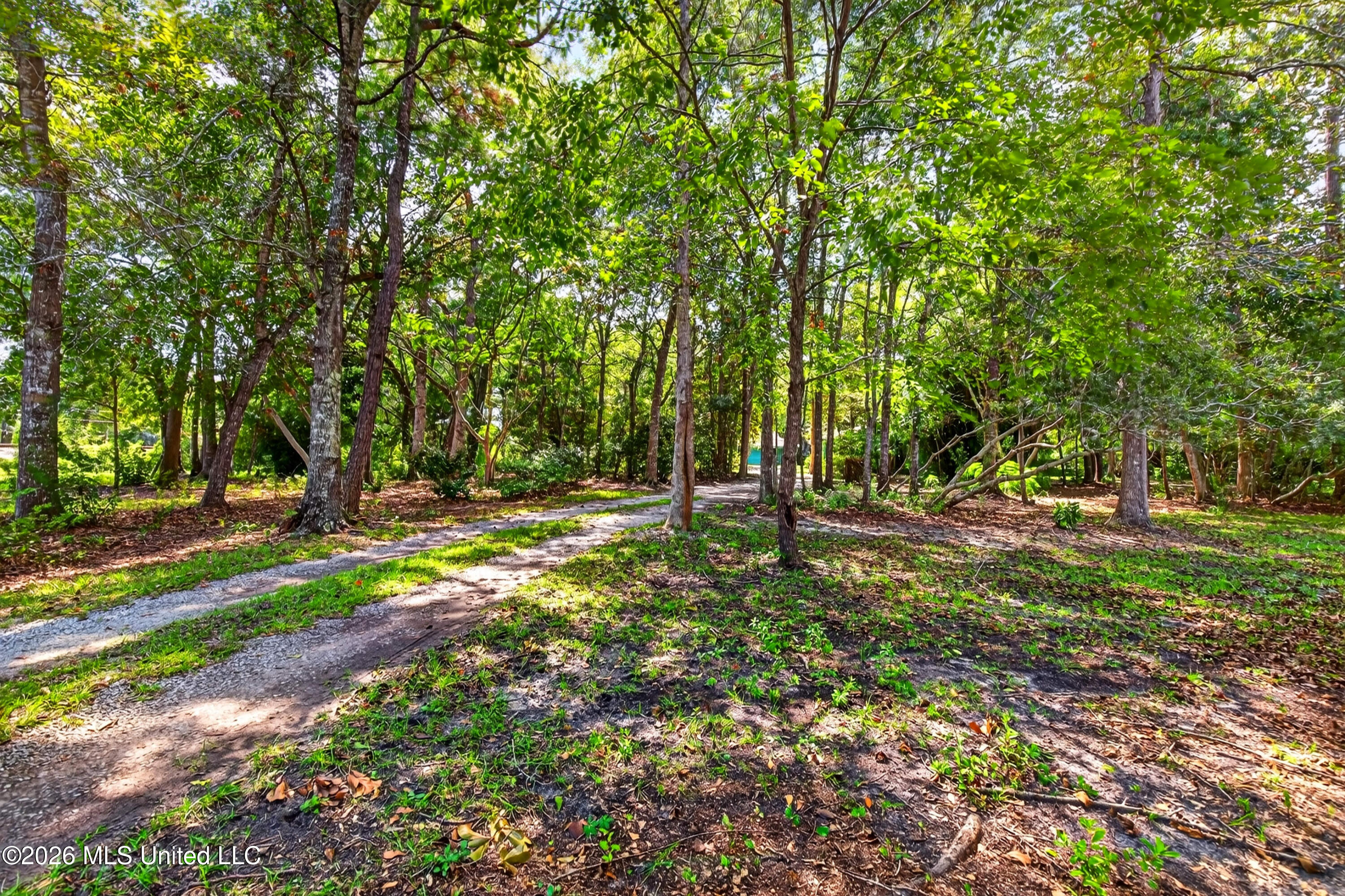 401 Turner Street Property Photo 4