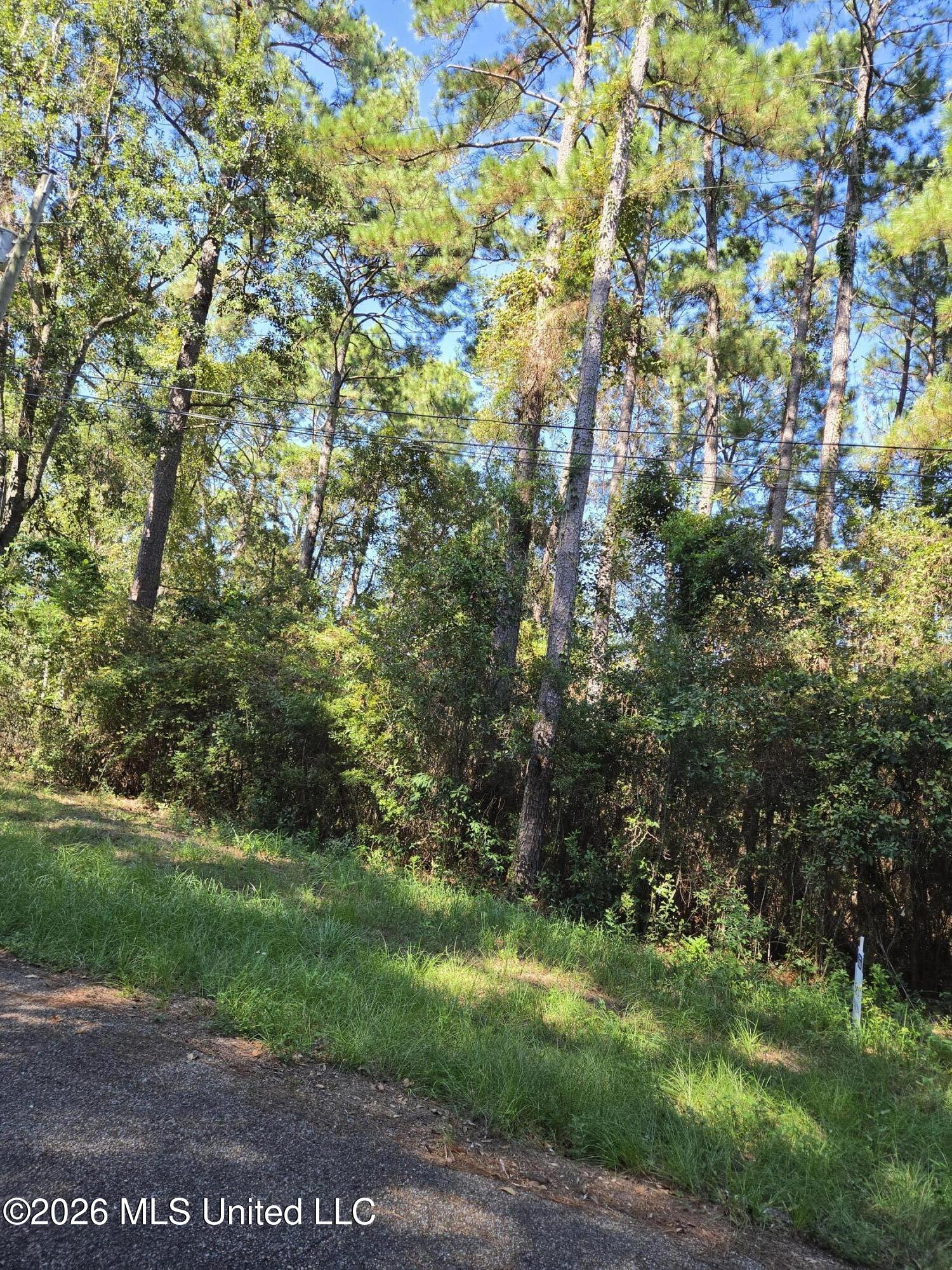 No W Marlin Cove Property Photo 3