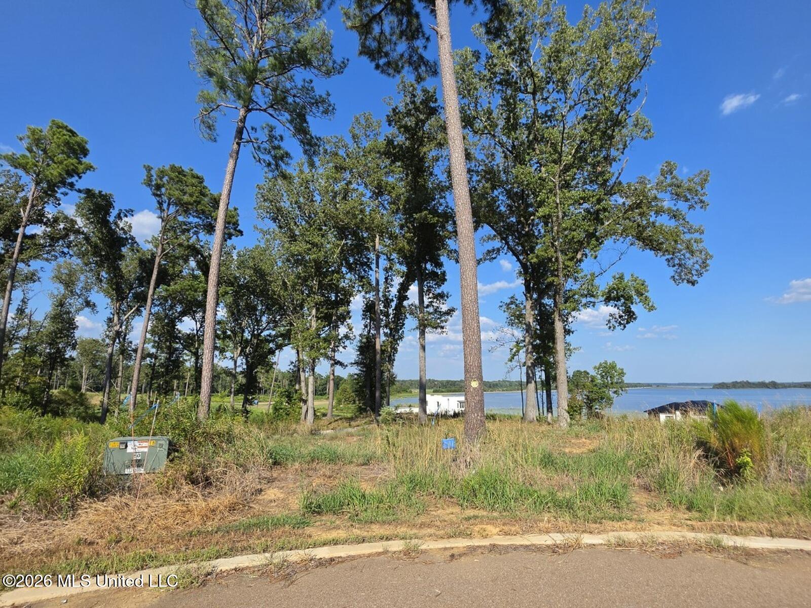 123 Neptune Shore Property Photo 4