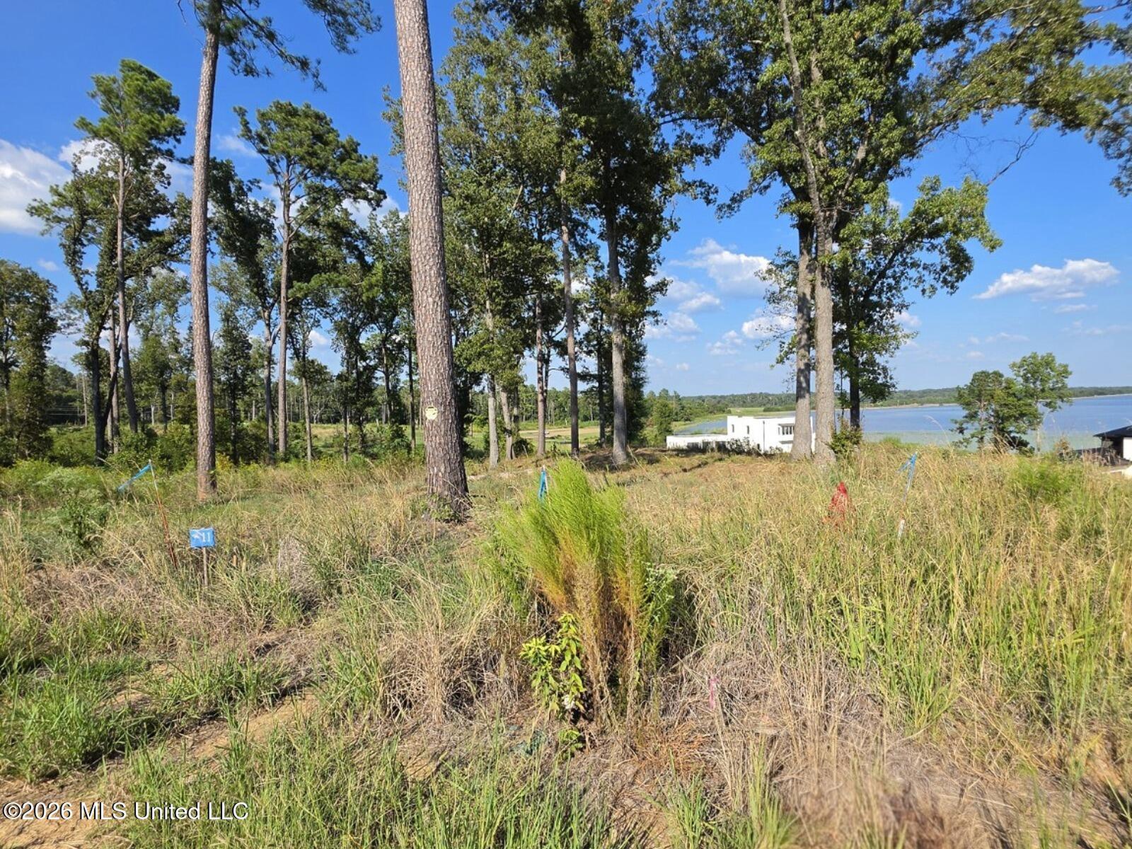 105 Athena Drive Property Photo 3