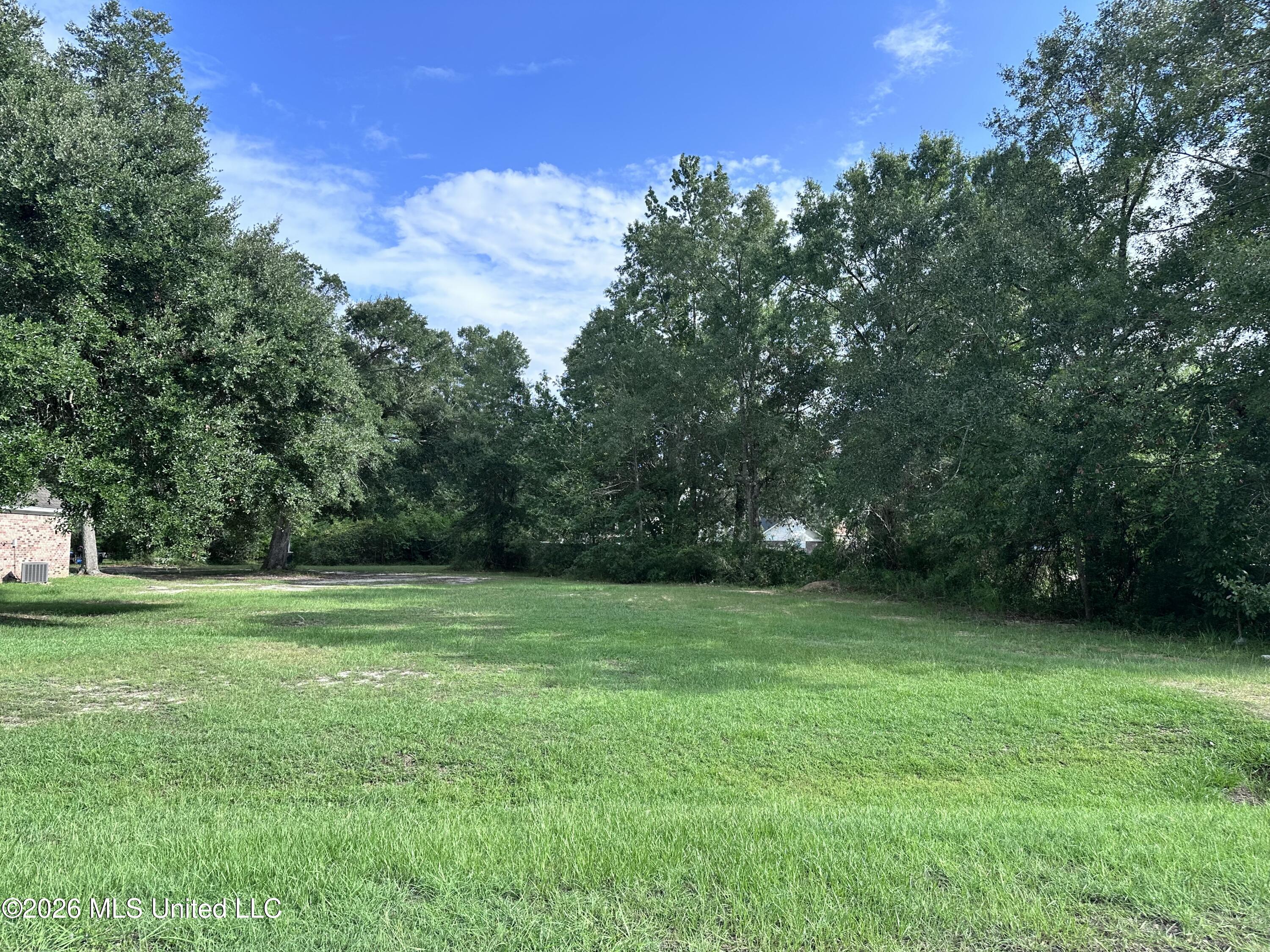 11010 Pin Oak Drive Property Photo 2
