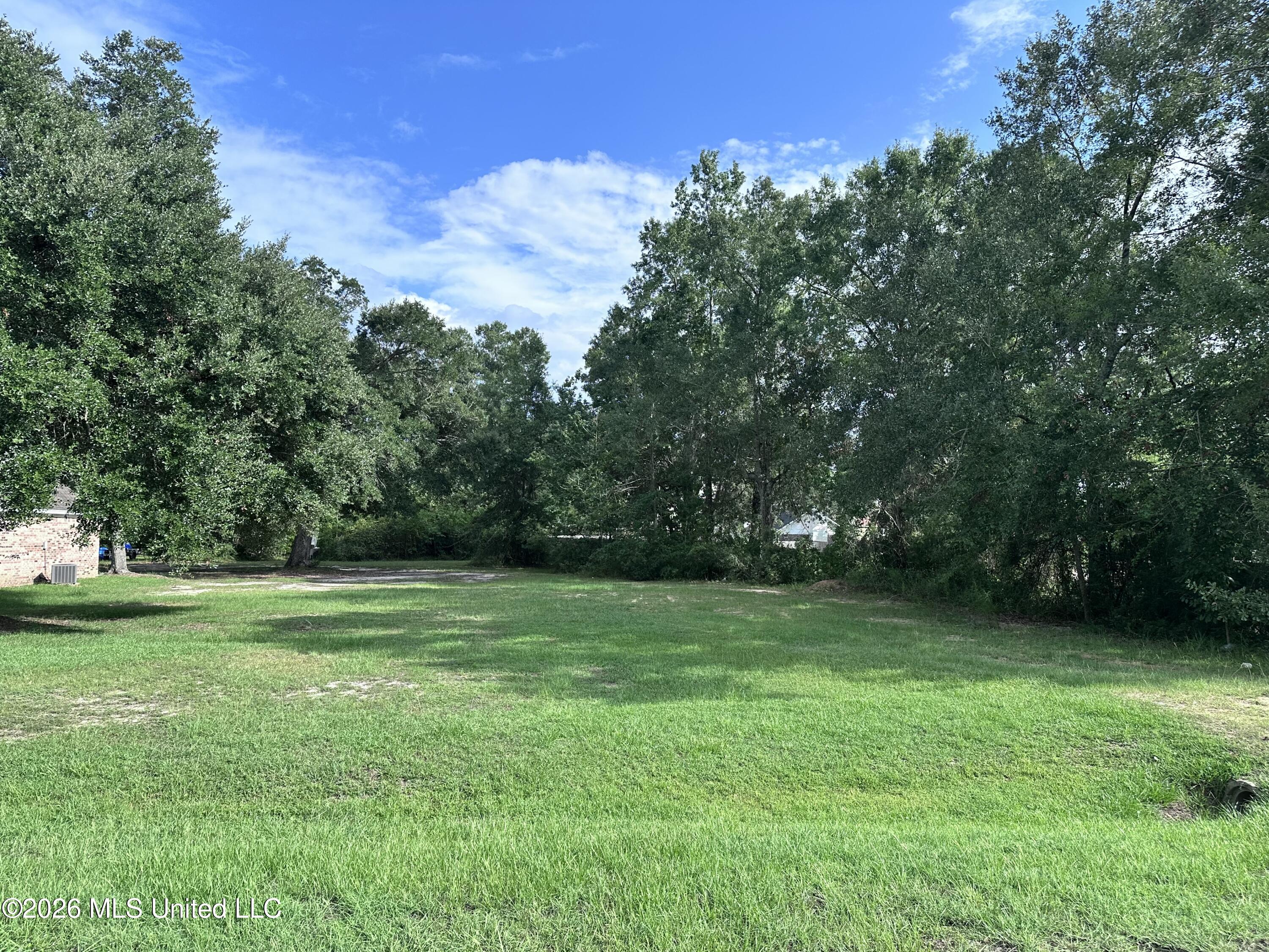11010 Pin Oak Drive Property Photo 3