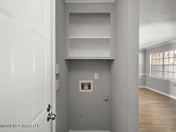 59 Tyler Cove Property Photo 17