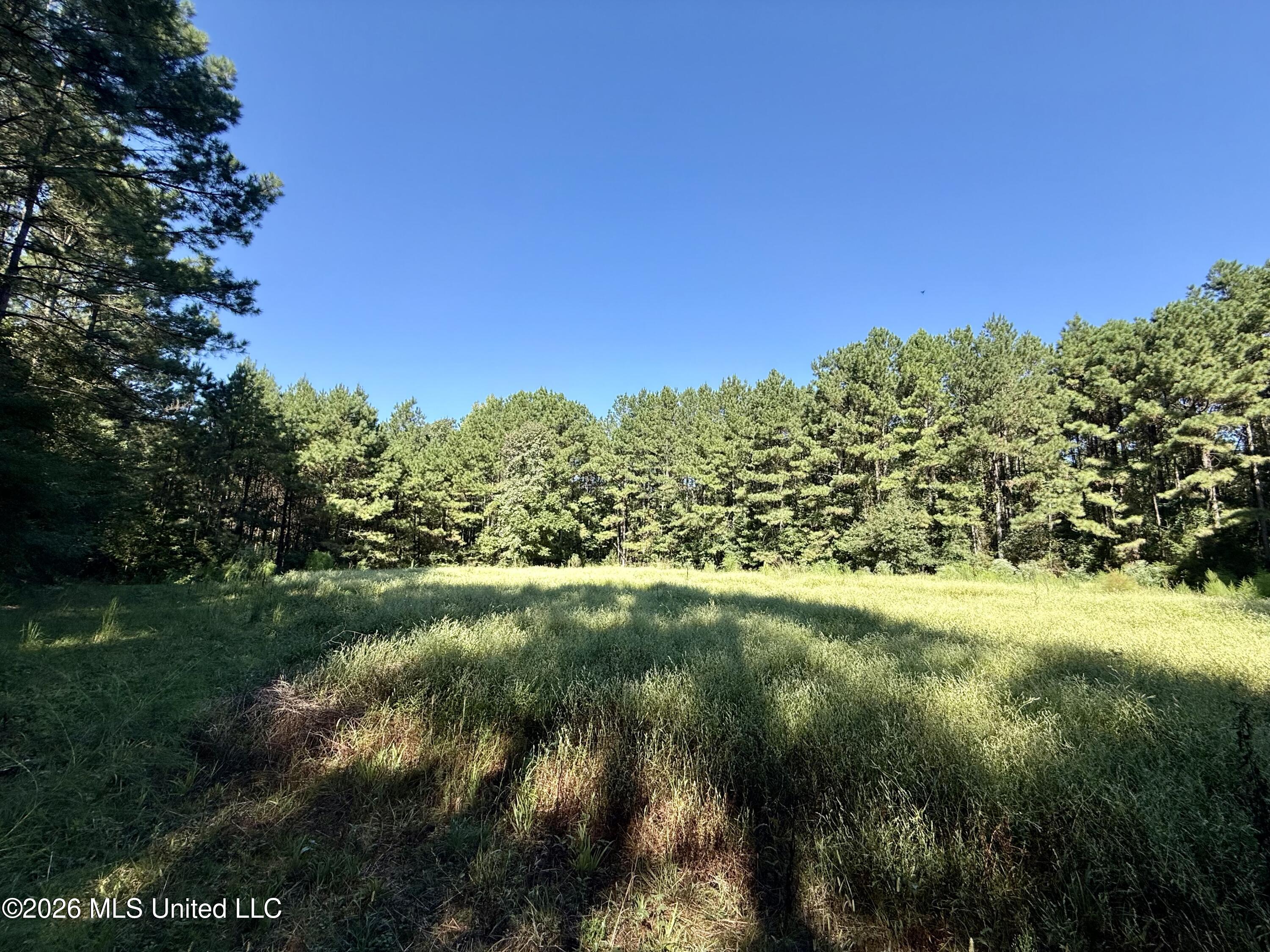 Burt Jordan Road Property Photo 1