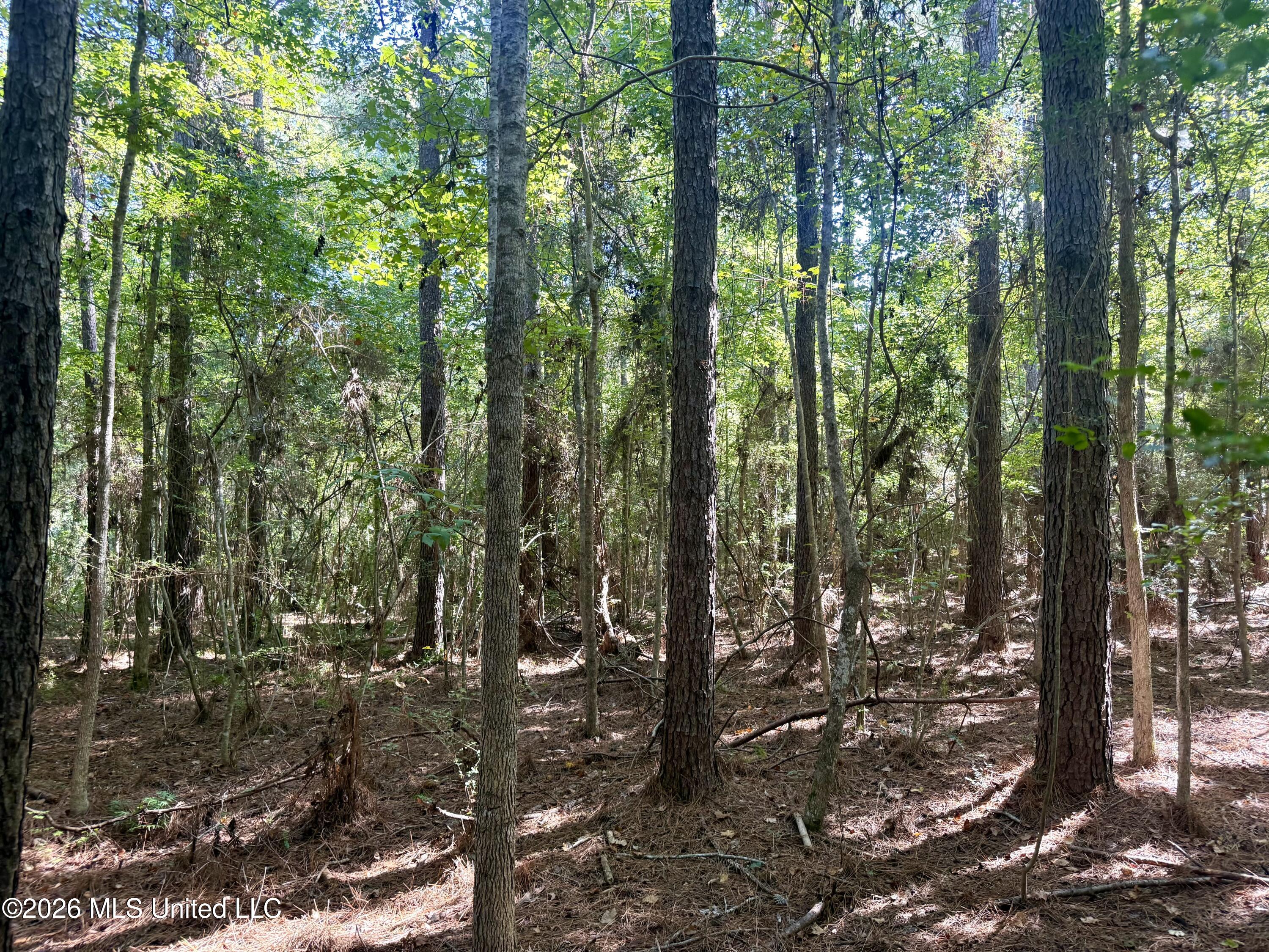Burt Jordan Road Property Photo 2