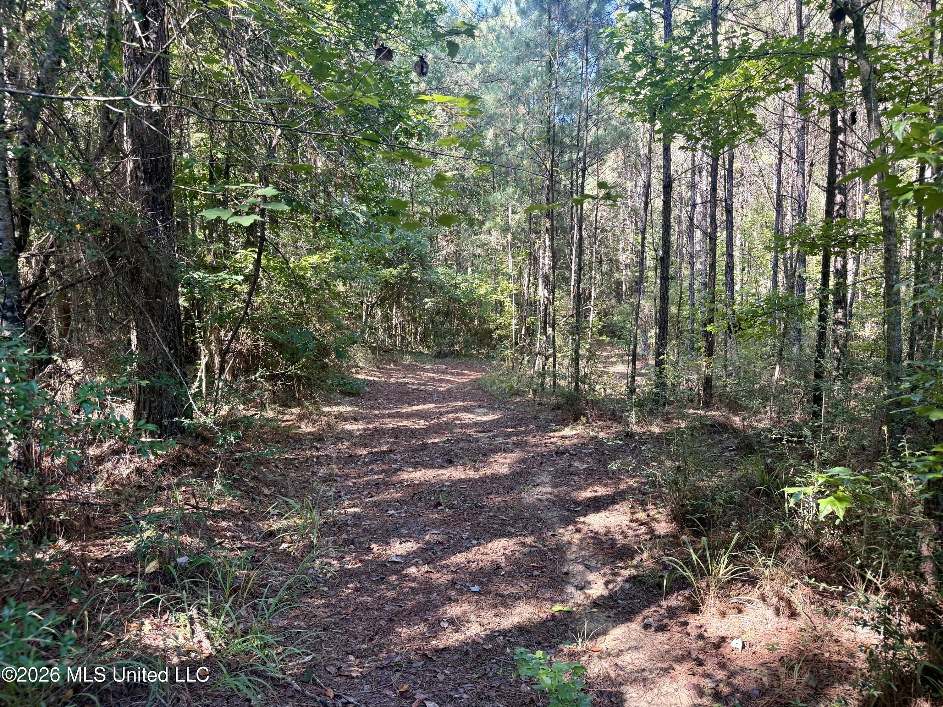 Burt Jordan Road Property Photo 3