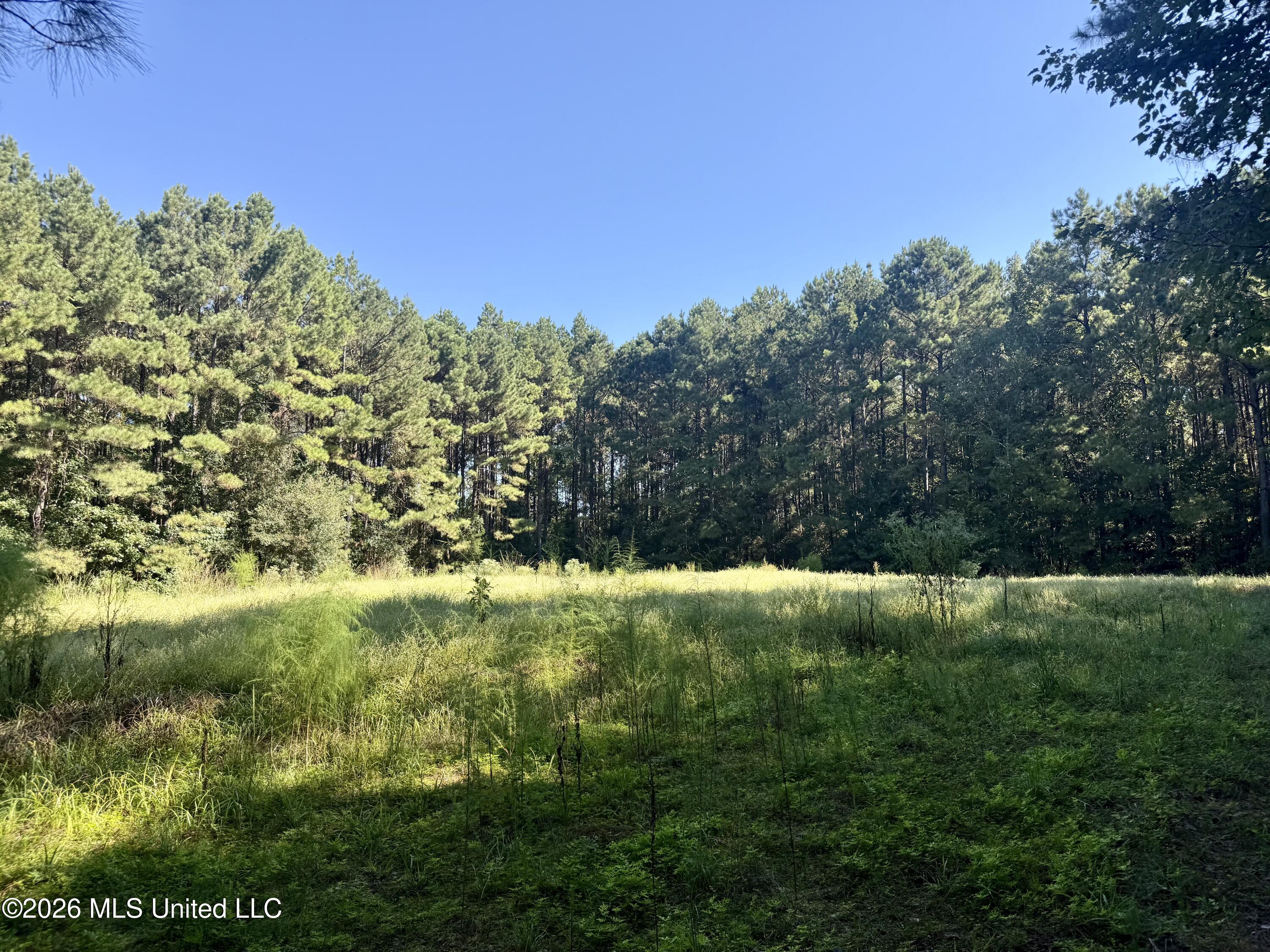 Burt Jordan Road Property Photo 5
