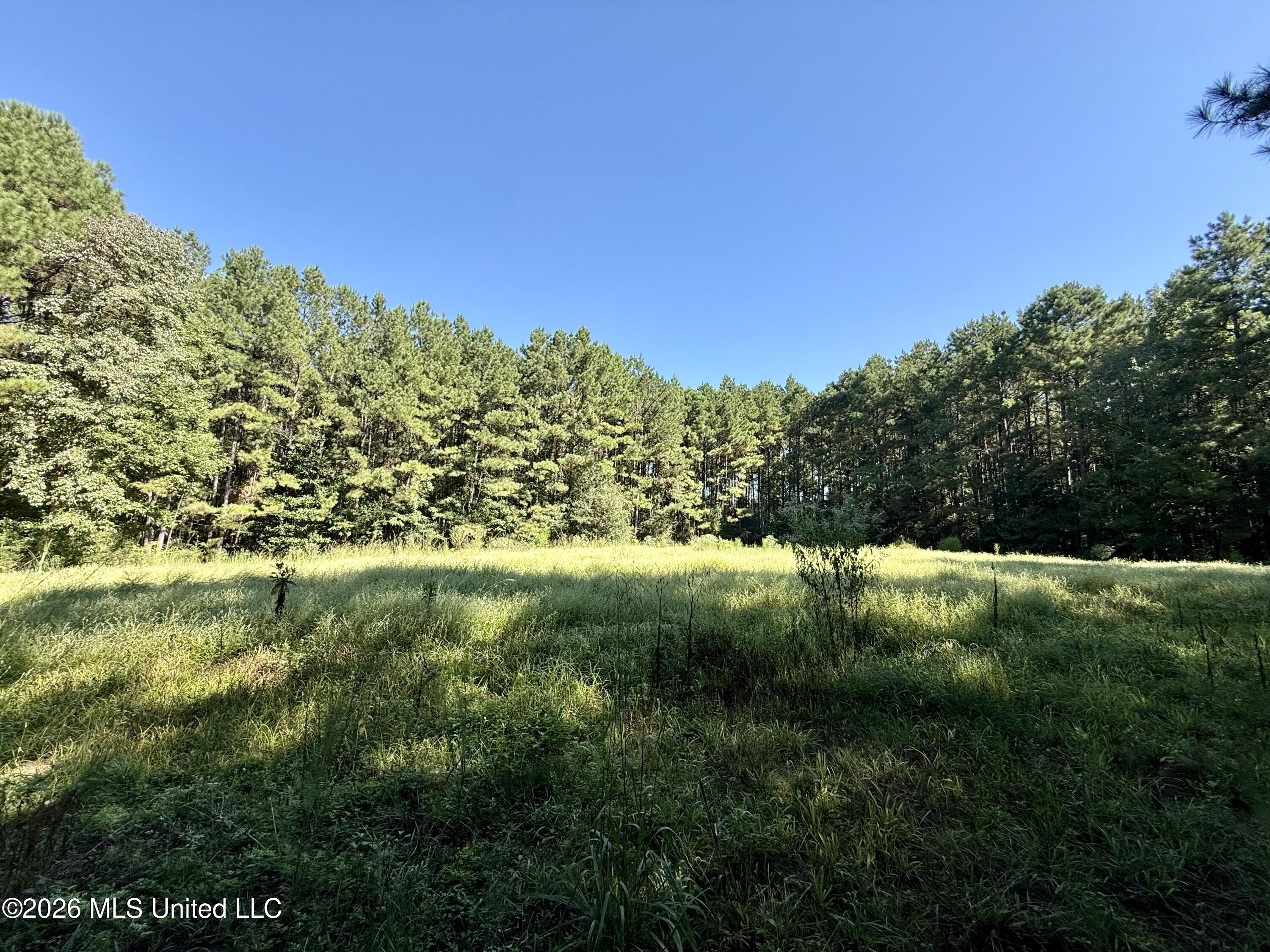 Burt Jordan Road Property Photo 9