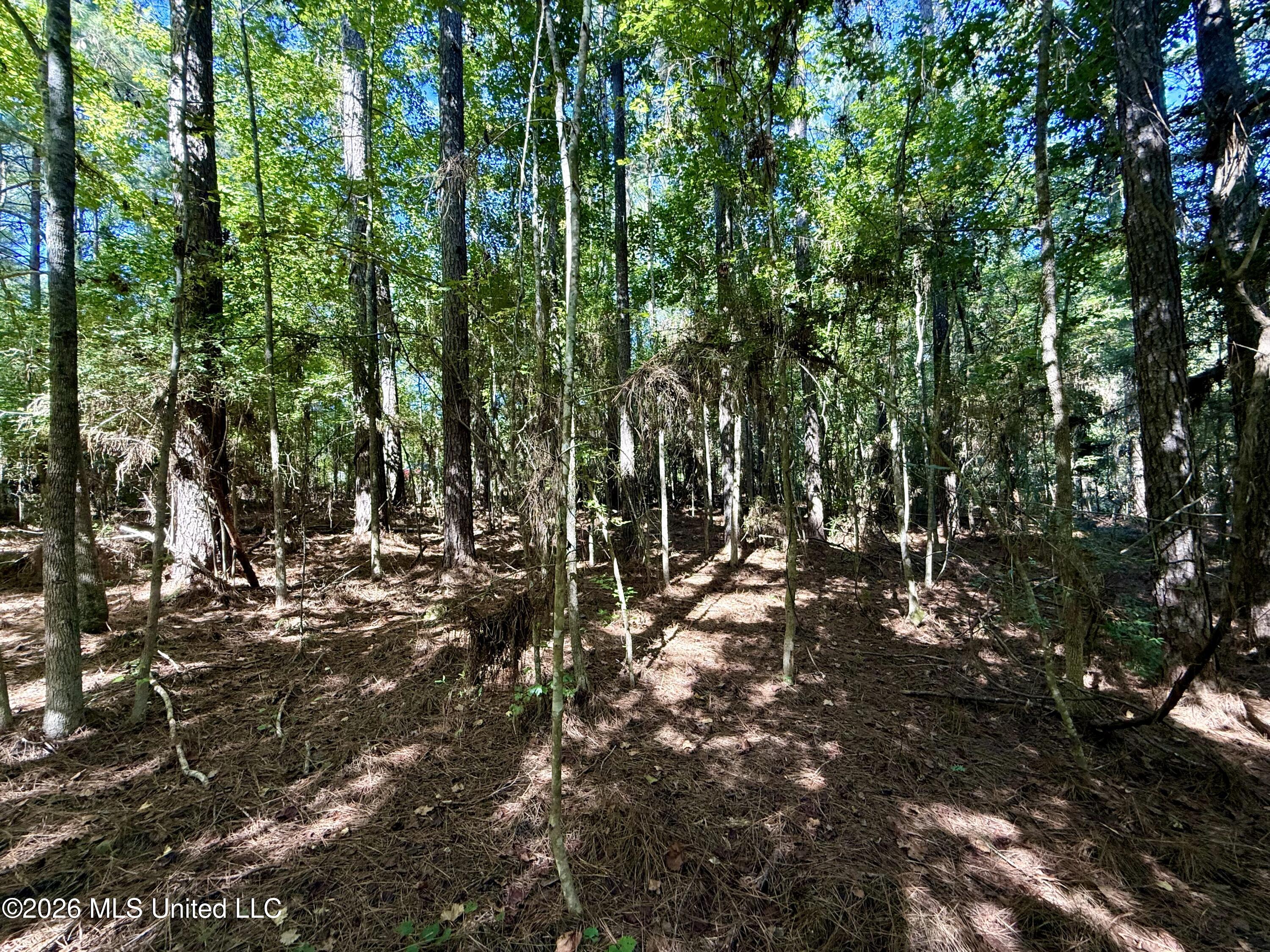 Burt Jordan Road Property Photo 11