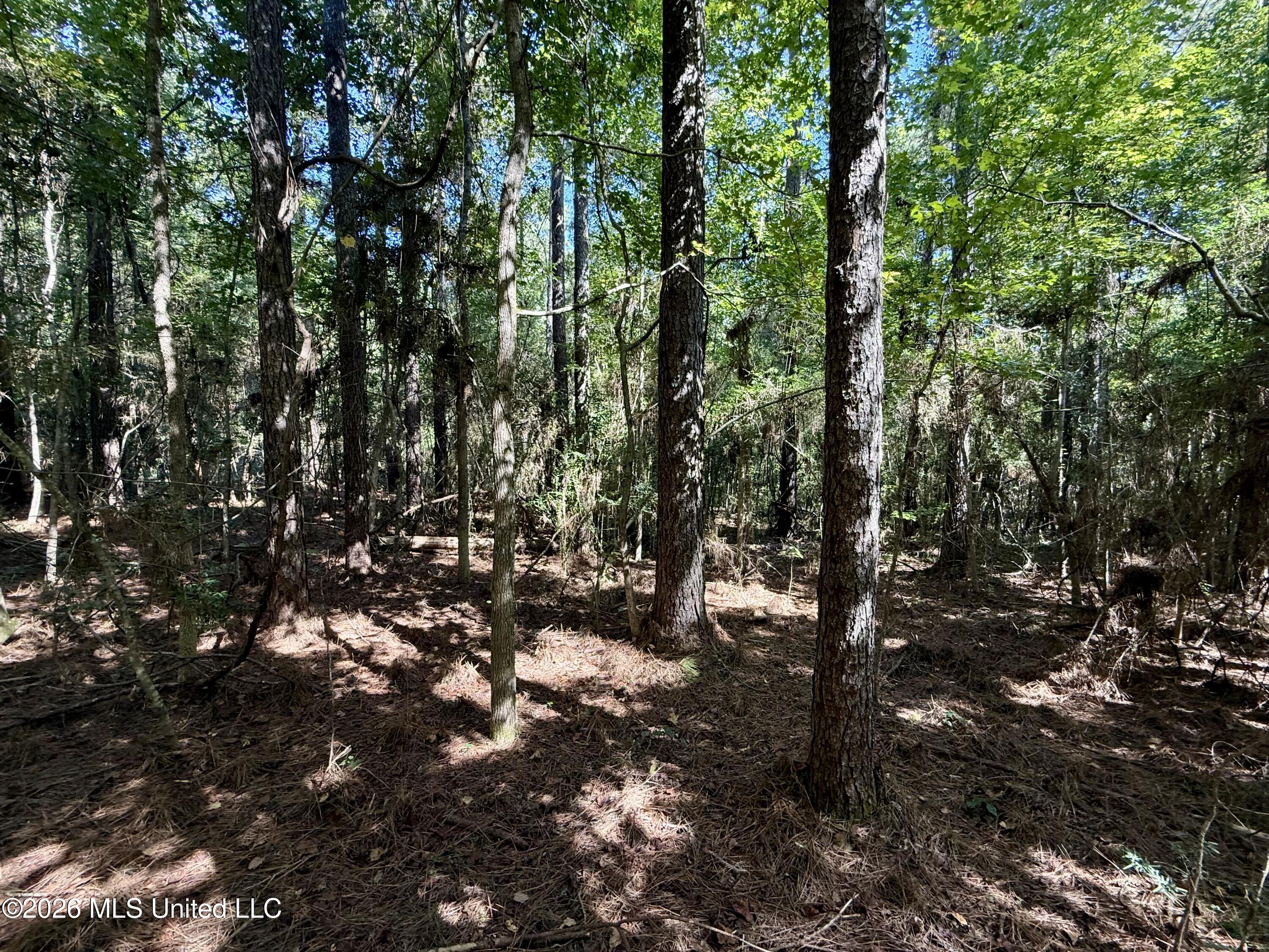 Burt Jordan Road Property Photo 12