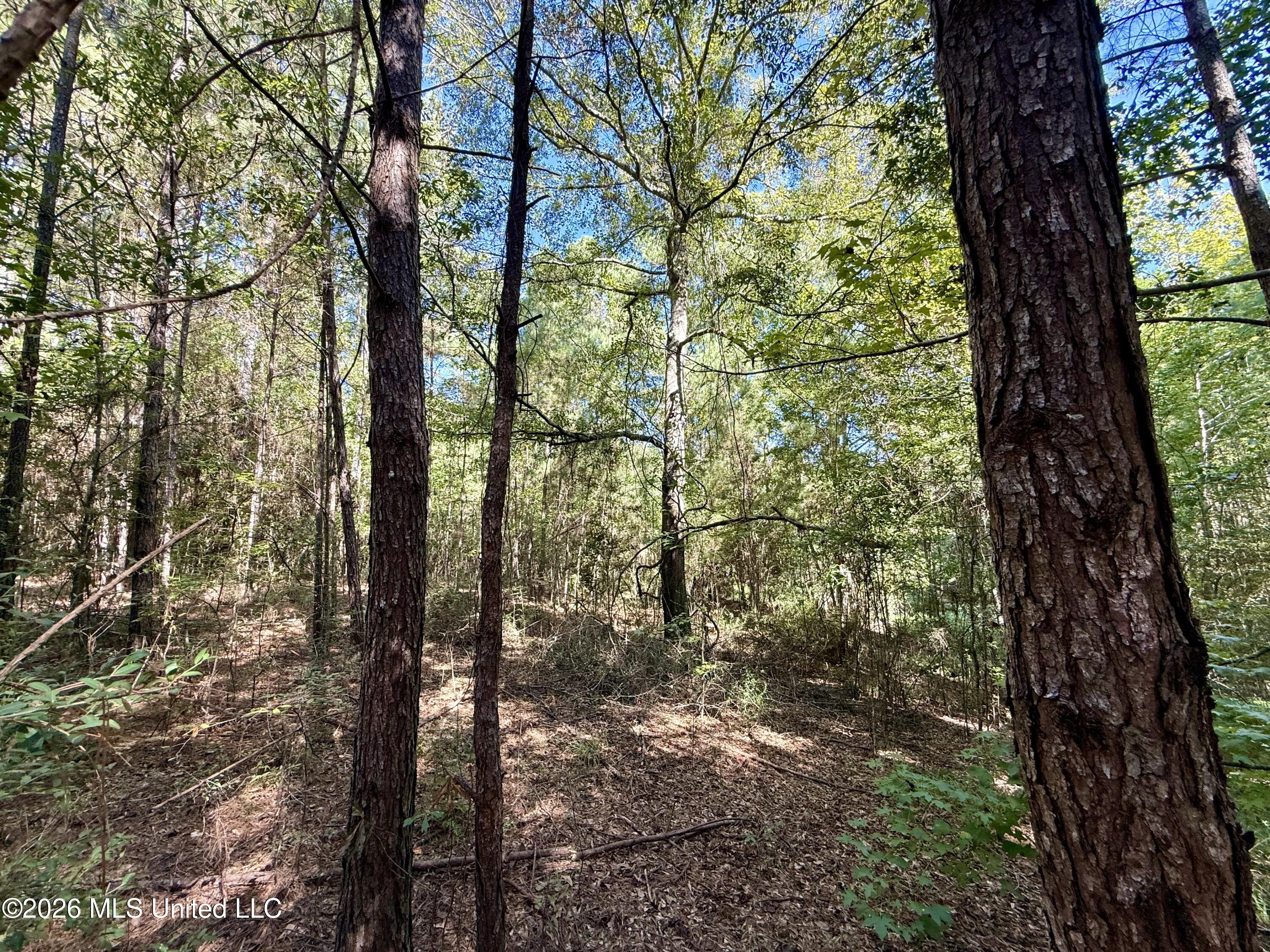 Burt Jordan Road Property Photo 15
