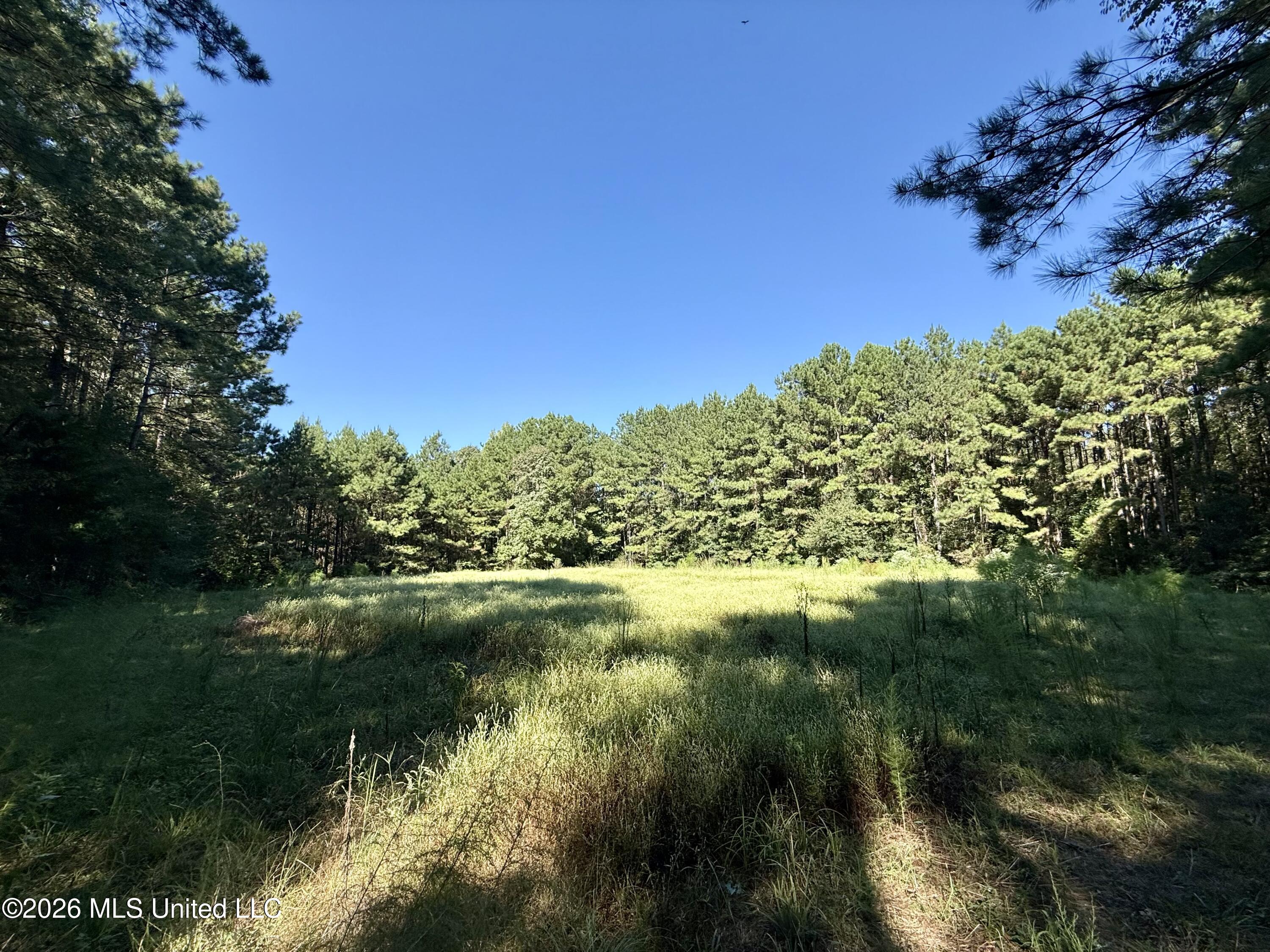 Burt Jordan Road Property Photo 17
