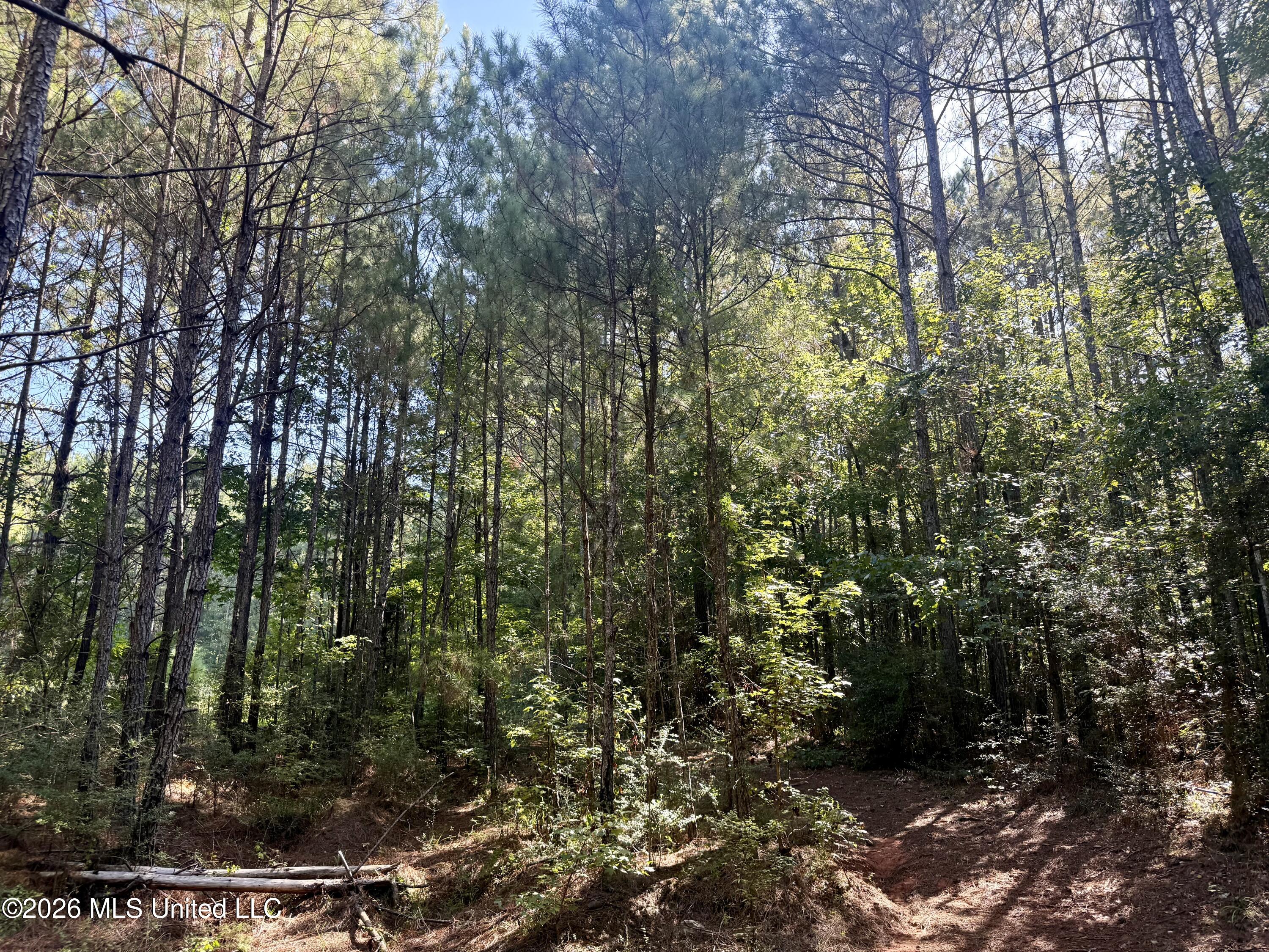 Burt Jordan Road Property Photo 18