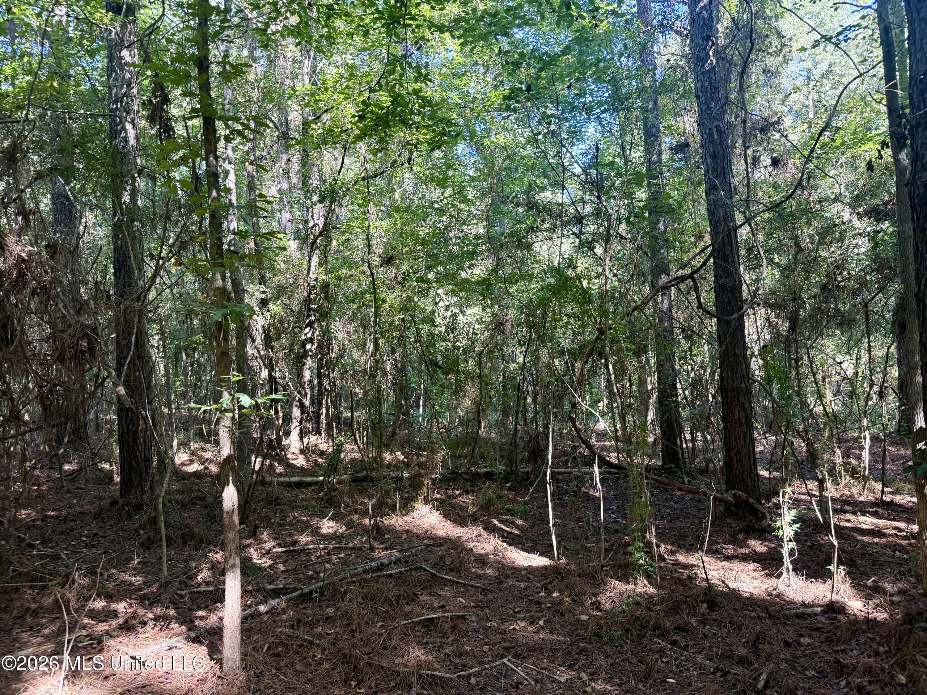 Burt Jordan Road Property Photo 19