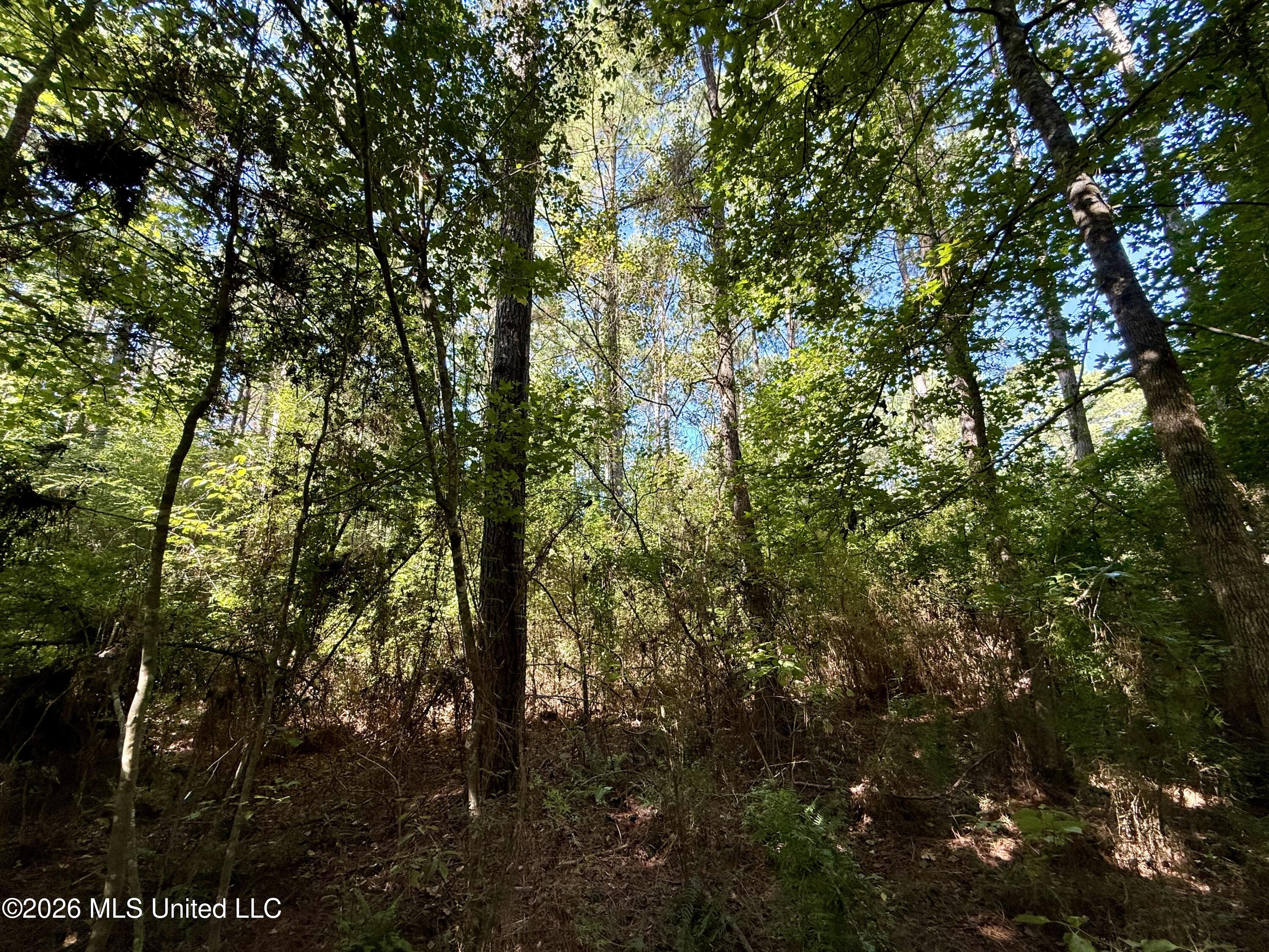Dogwood Ln Se Property Photo 1