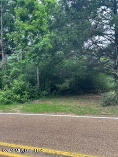 Sumrall Road Property Photo 4