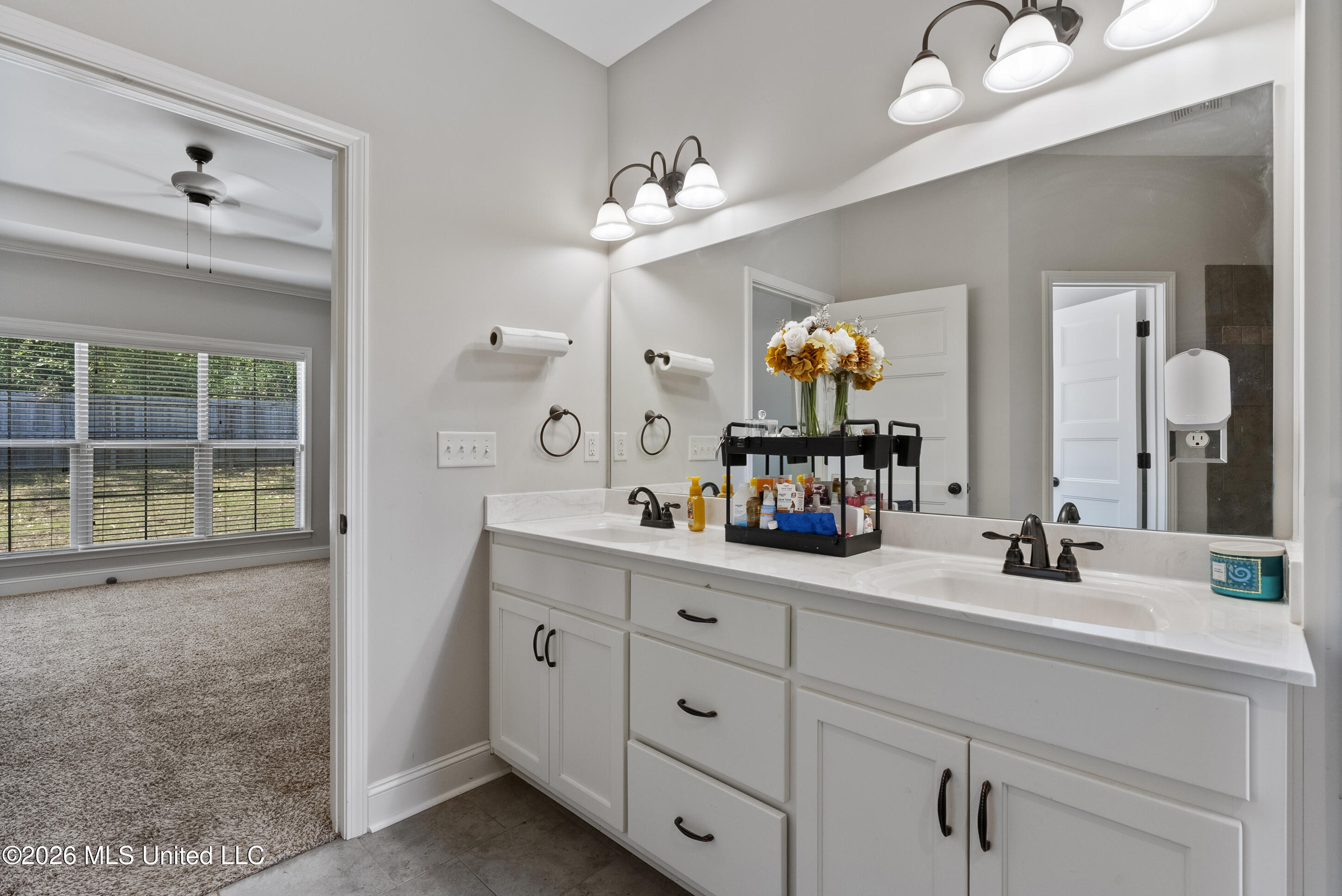 3629 Williams Brooke Lane Property Photo 18