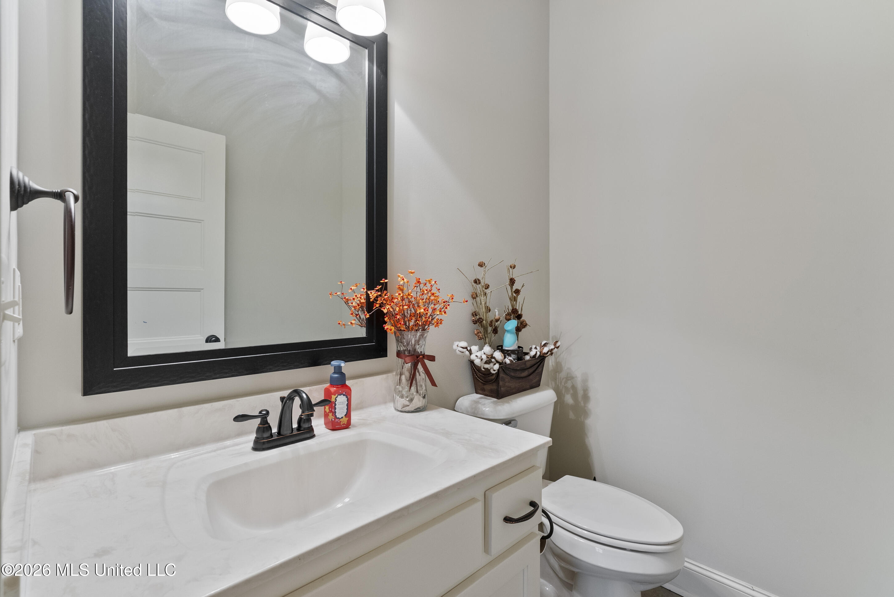 3629 Williams Brooke Lane Property Photo 19