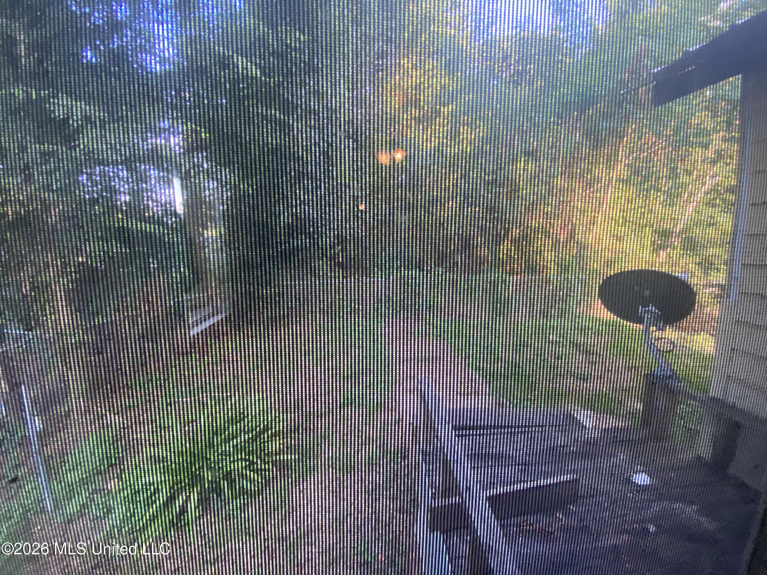 220 Morning Star Alley Property Photo 20