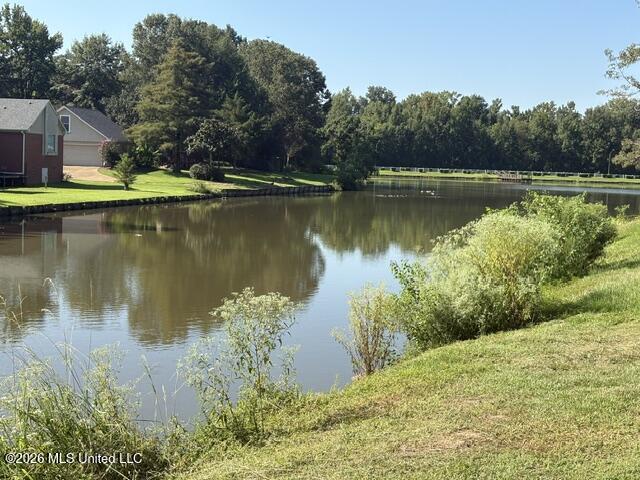 105 Misty Morning Lane Property Photo 32
