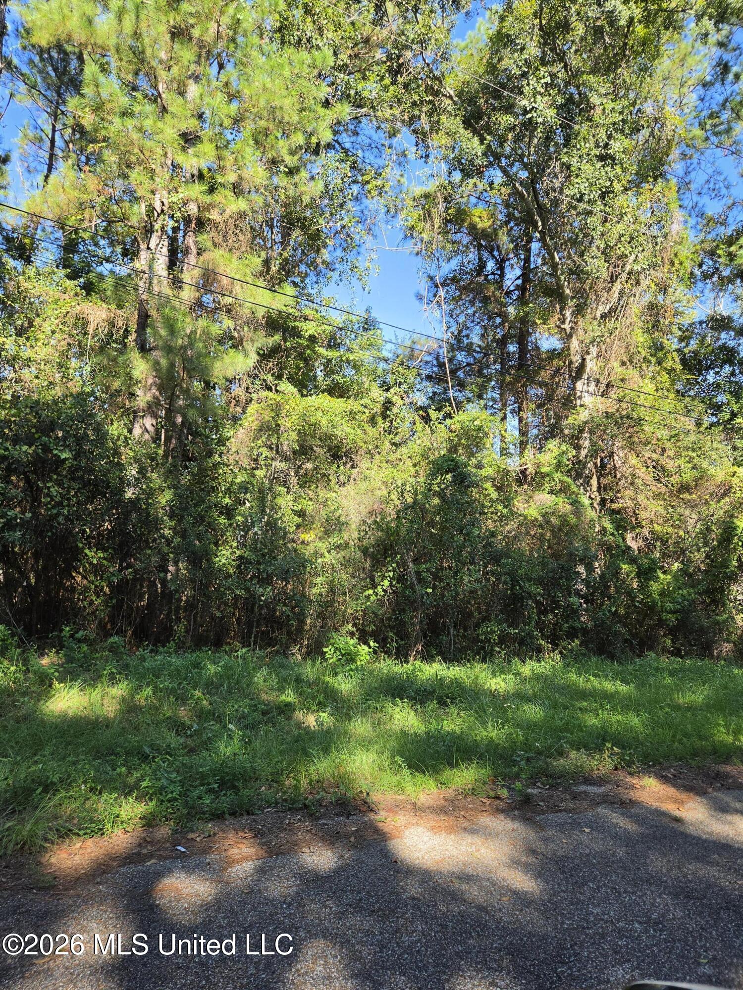 0 Marlin Cove Property Photo 2