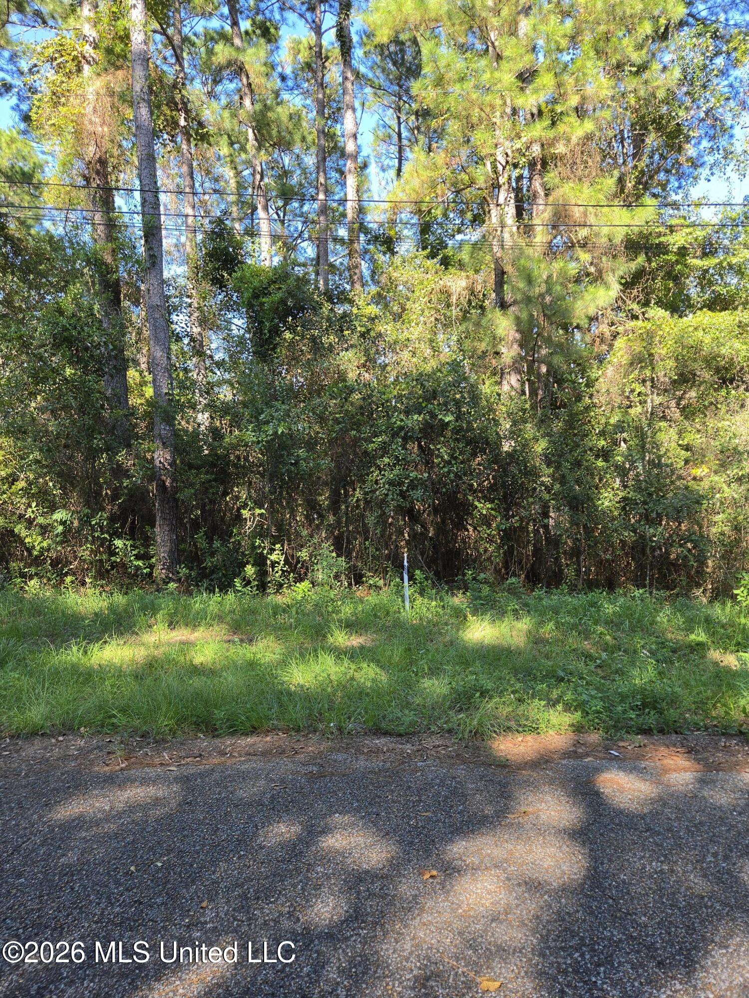 0 Marlin Cove Property Photo 3