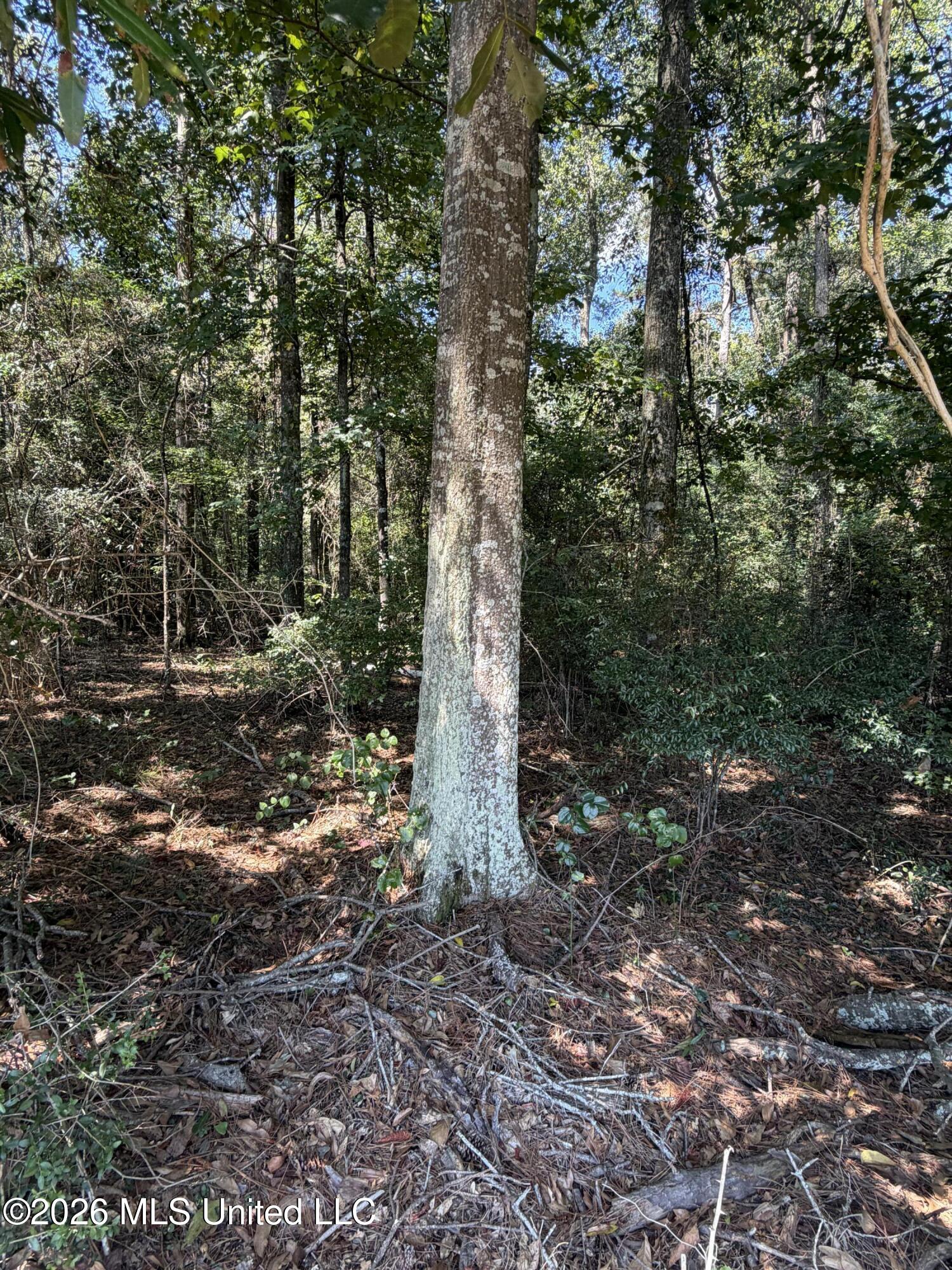 Adams Road Property Photo 2