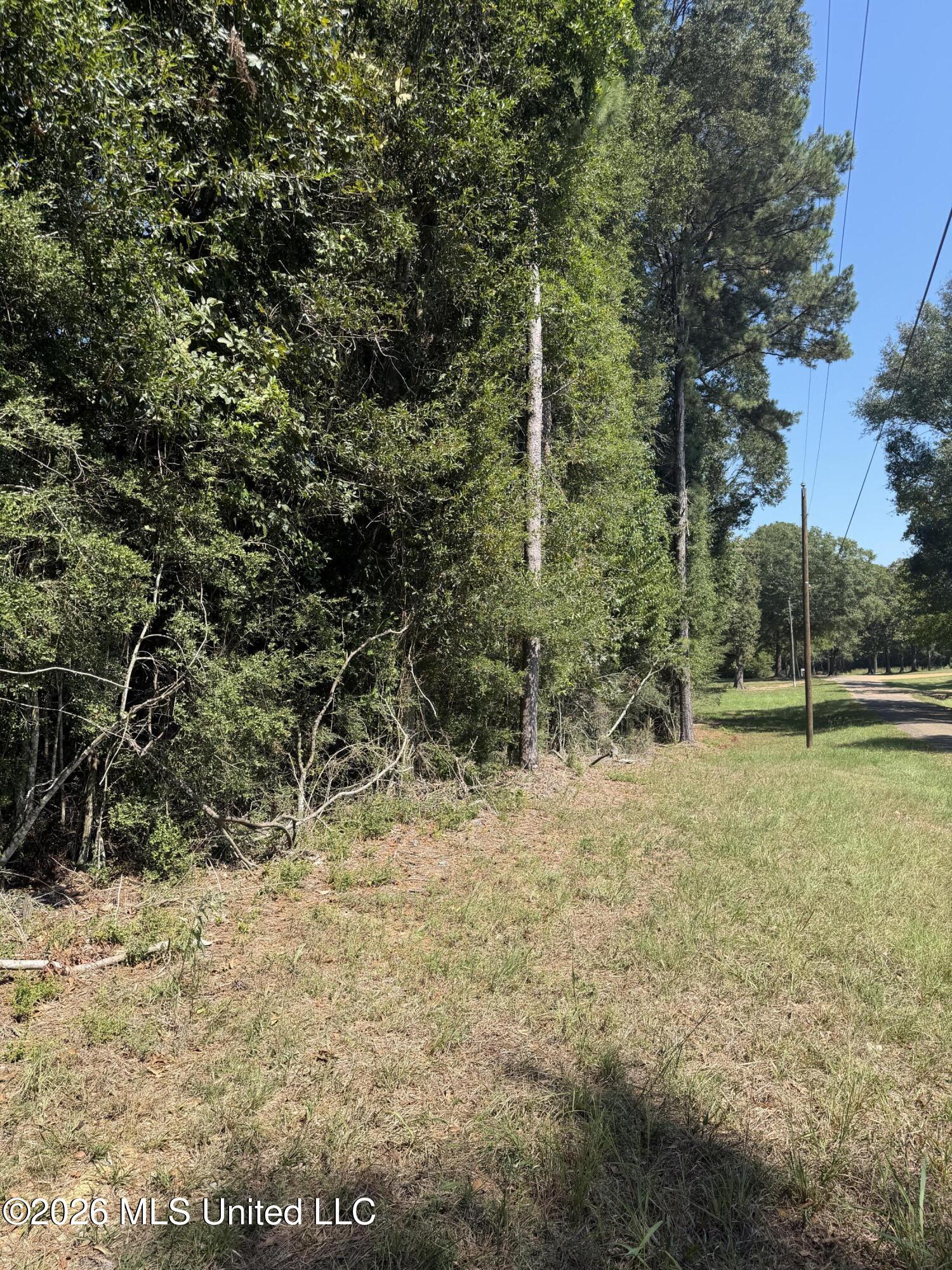 Adams Road Property Photo 3