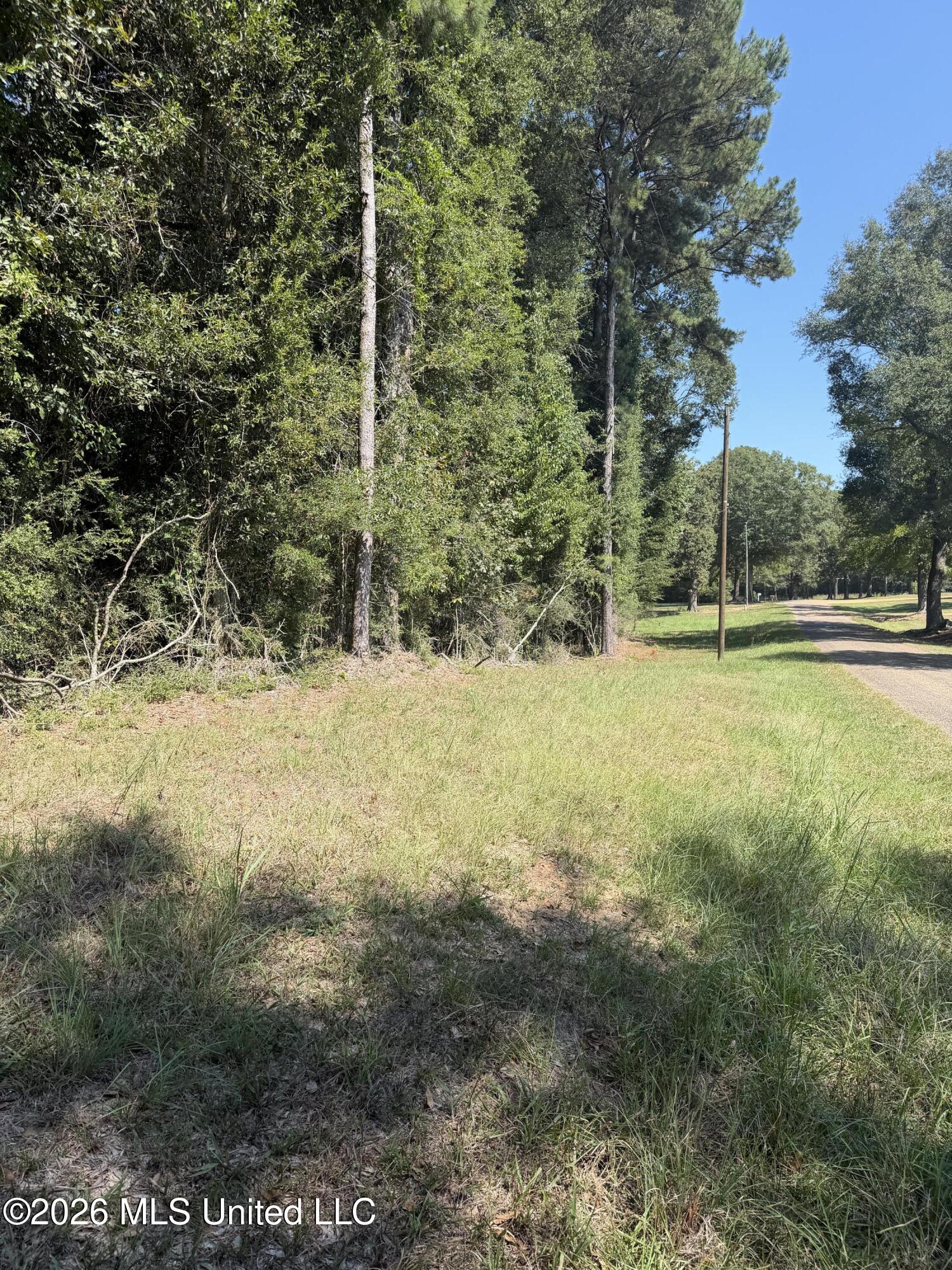 Adams Road Property Photo 4