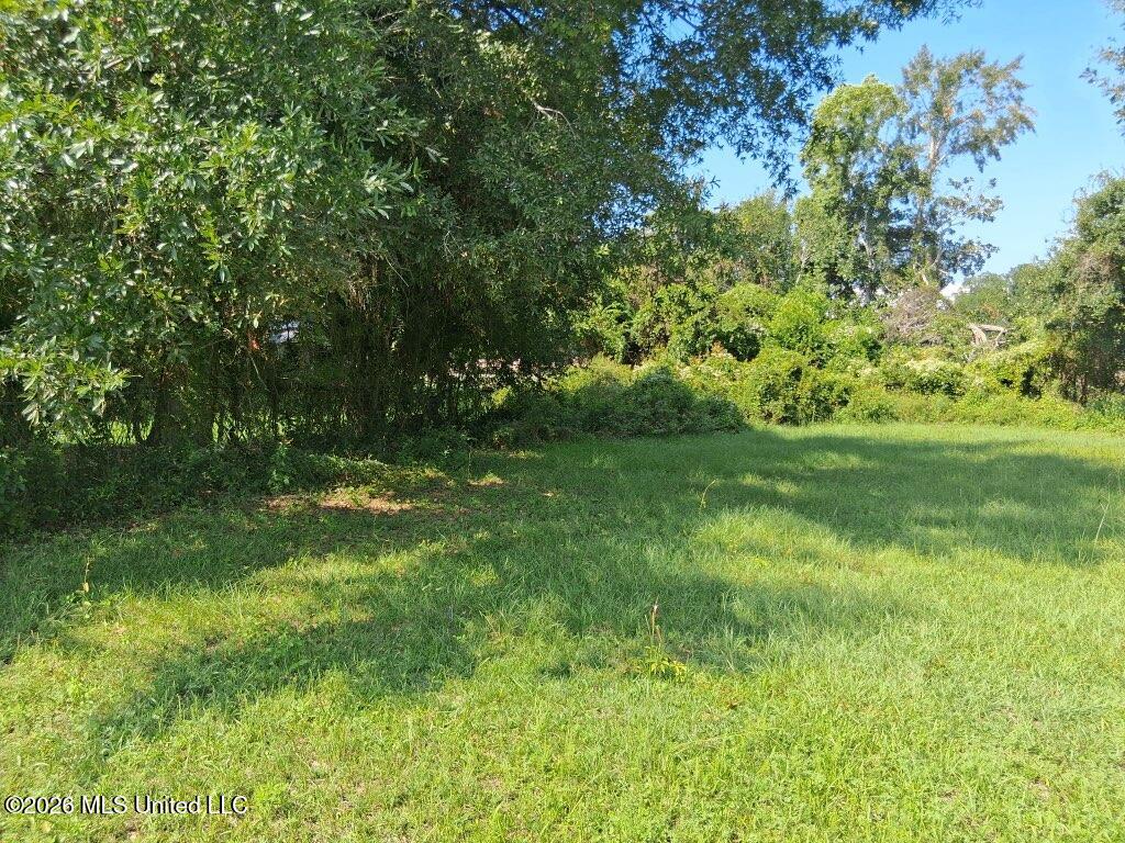 161 Pine Street Property Photo 4