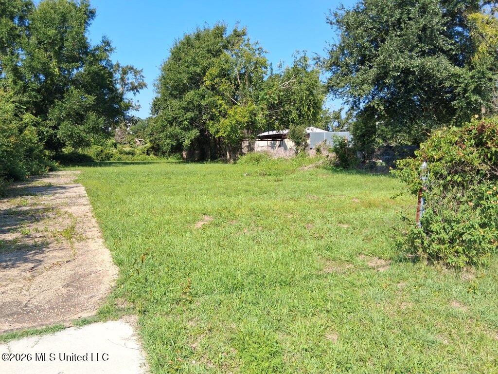 161 Pine Street Property Photo 7