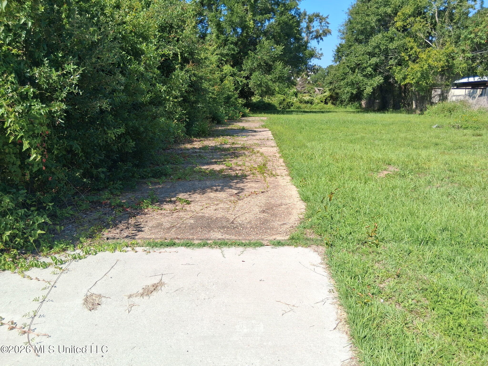 161 Pine Street Property Photo 8